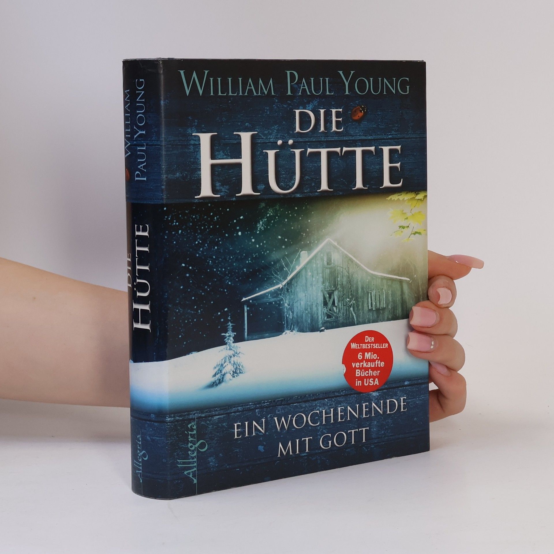 William P. Young Die Hütte