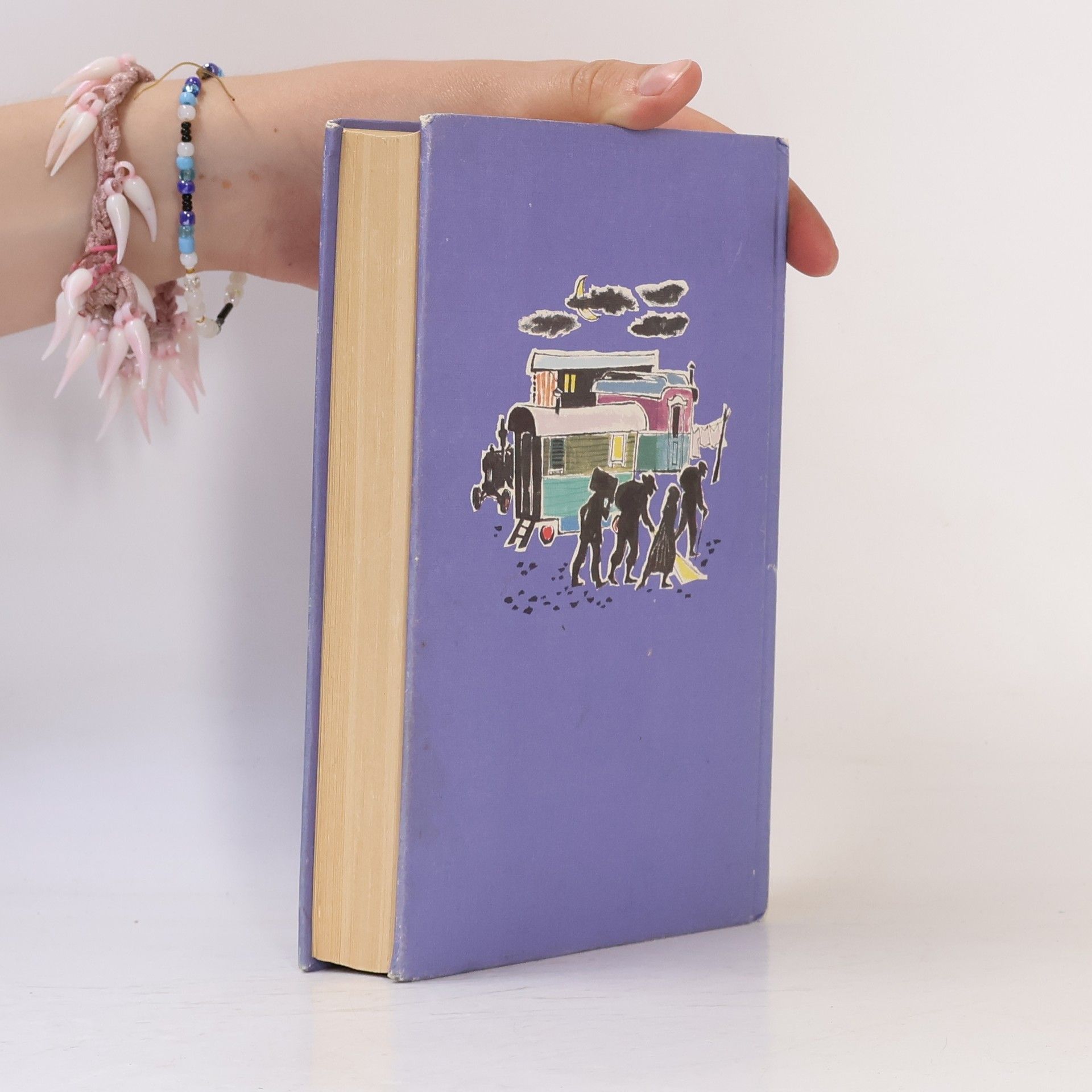 Enid Blyton Fünf Freunde verfolgen die Strandräuber