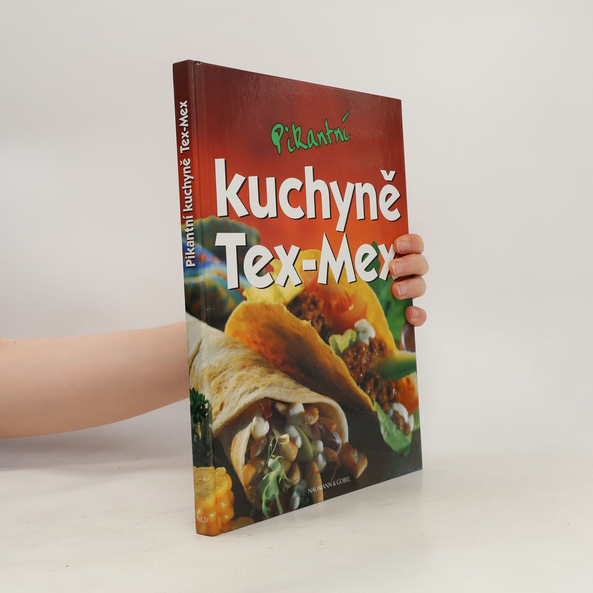 AA.VV. Pikantní kuchyně Tex-Mex