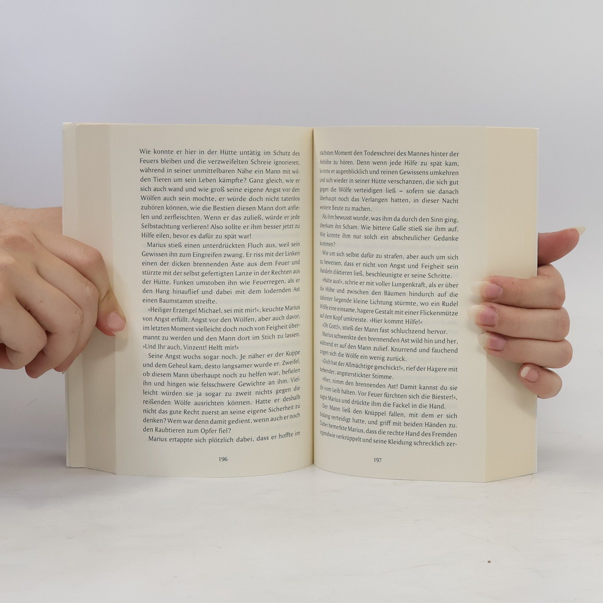 Rainer M. Schröder Das Vermächtnis des alten Pilgers
