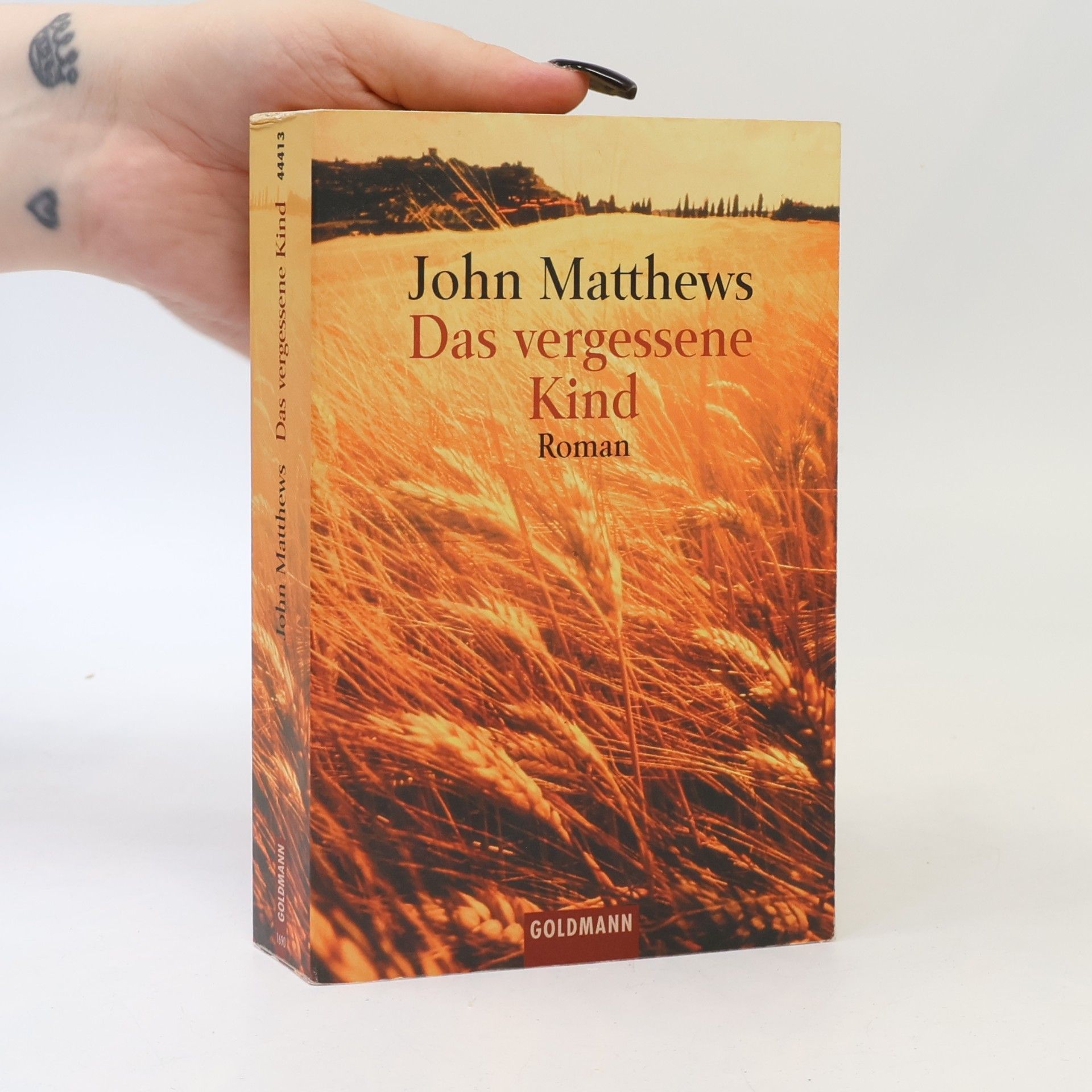 John Matthews Das vergessene Kind