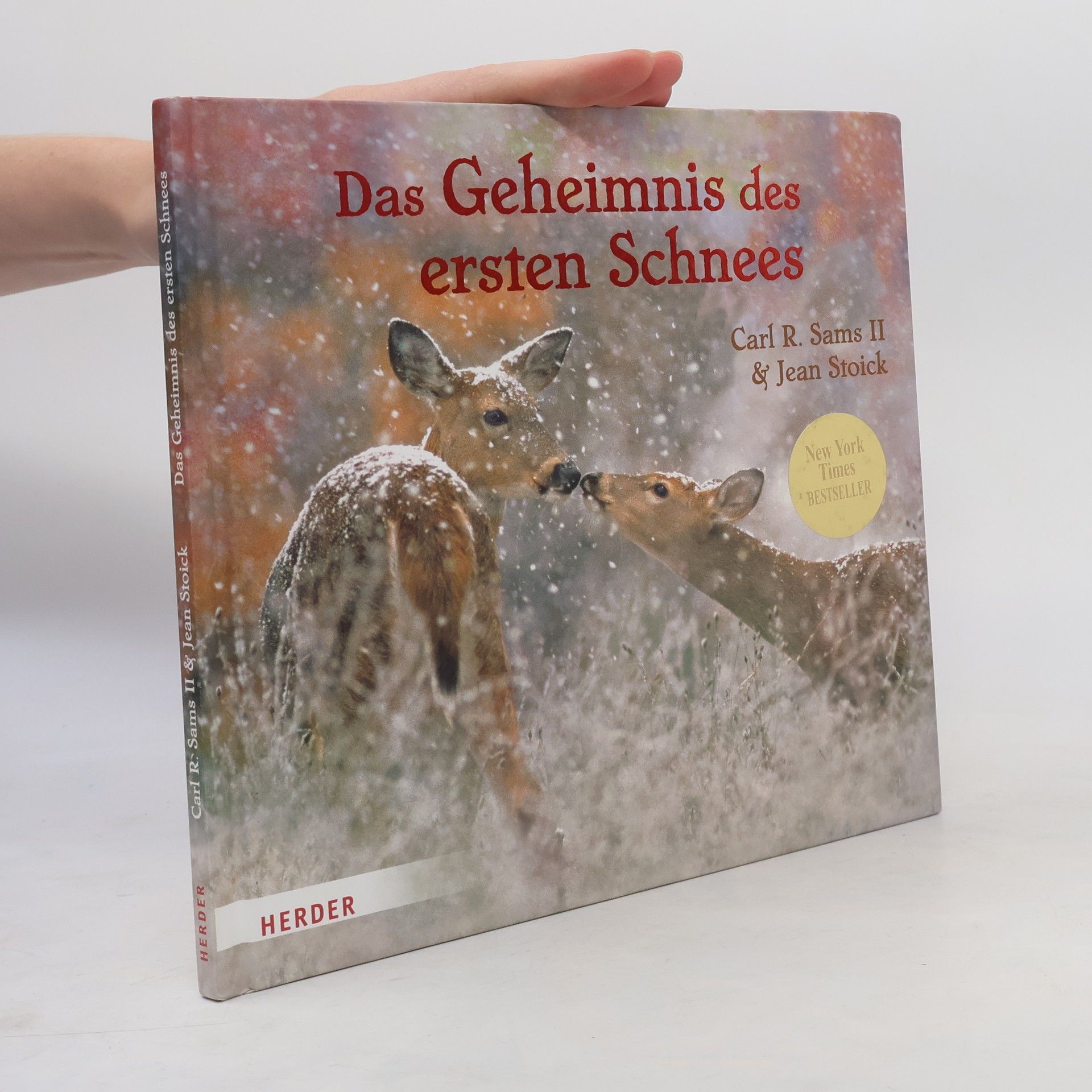 Carl R. Sams Das Geheimnis des ersten Schnees