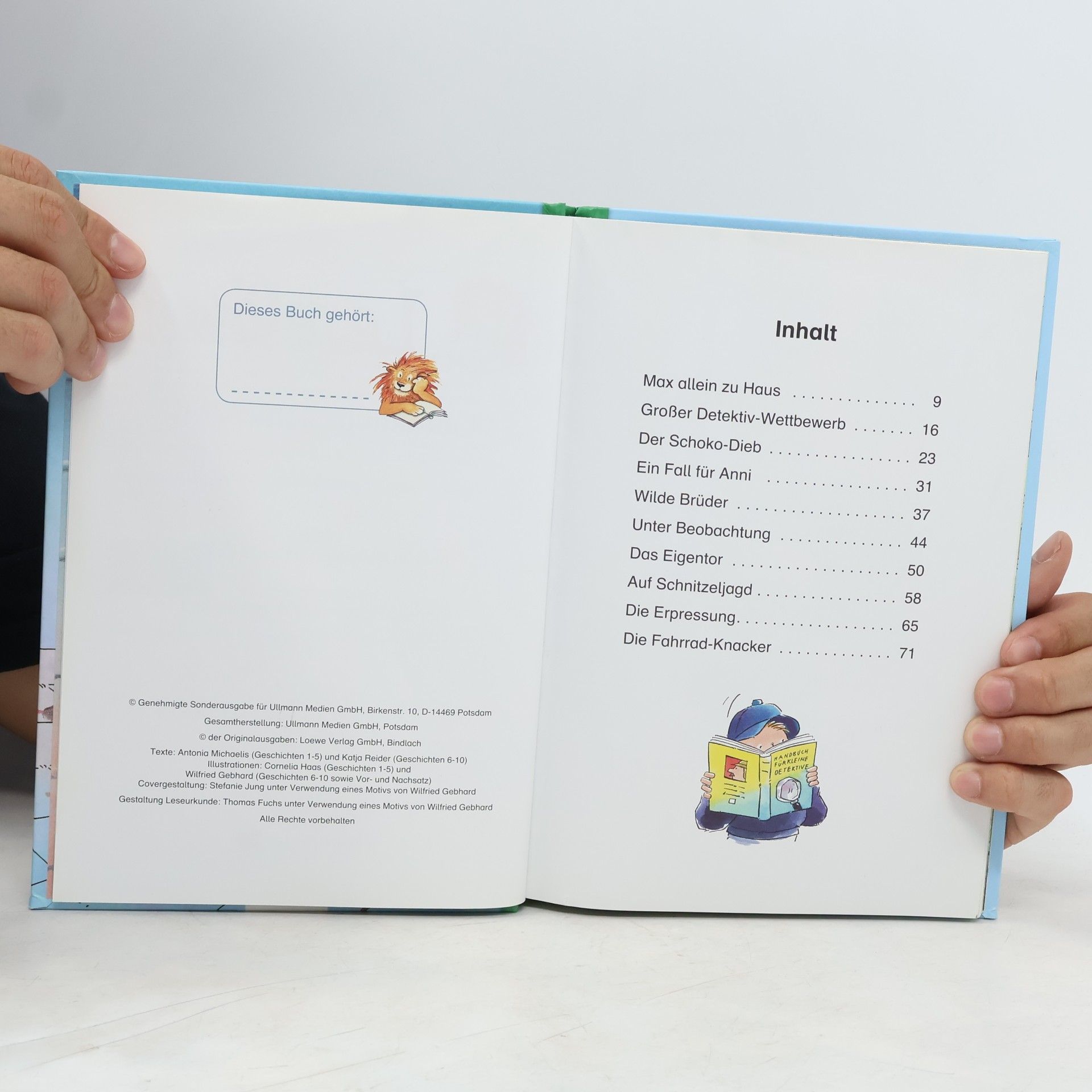 Autorenkollektiv Leselöwen. Detektivgeschichten