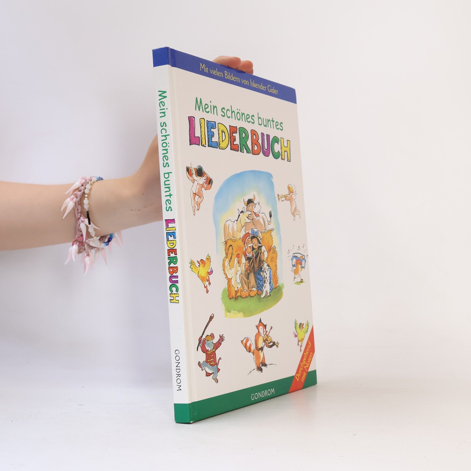 Autorenkollektiv Mein schönes buntes Liederbuch