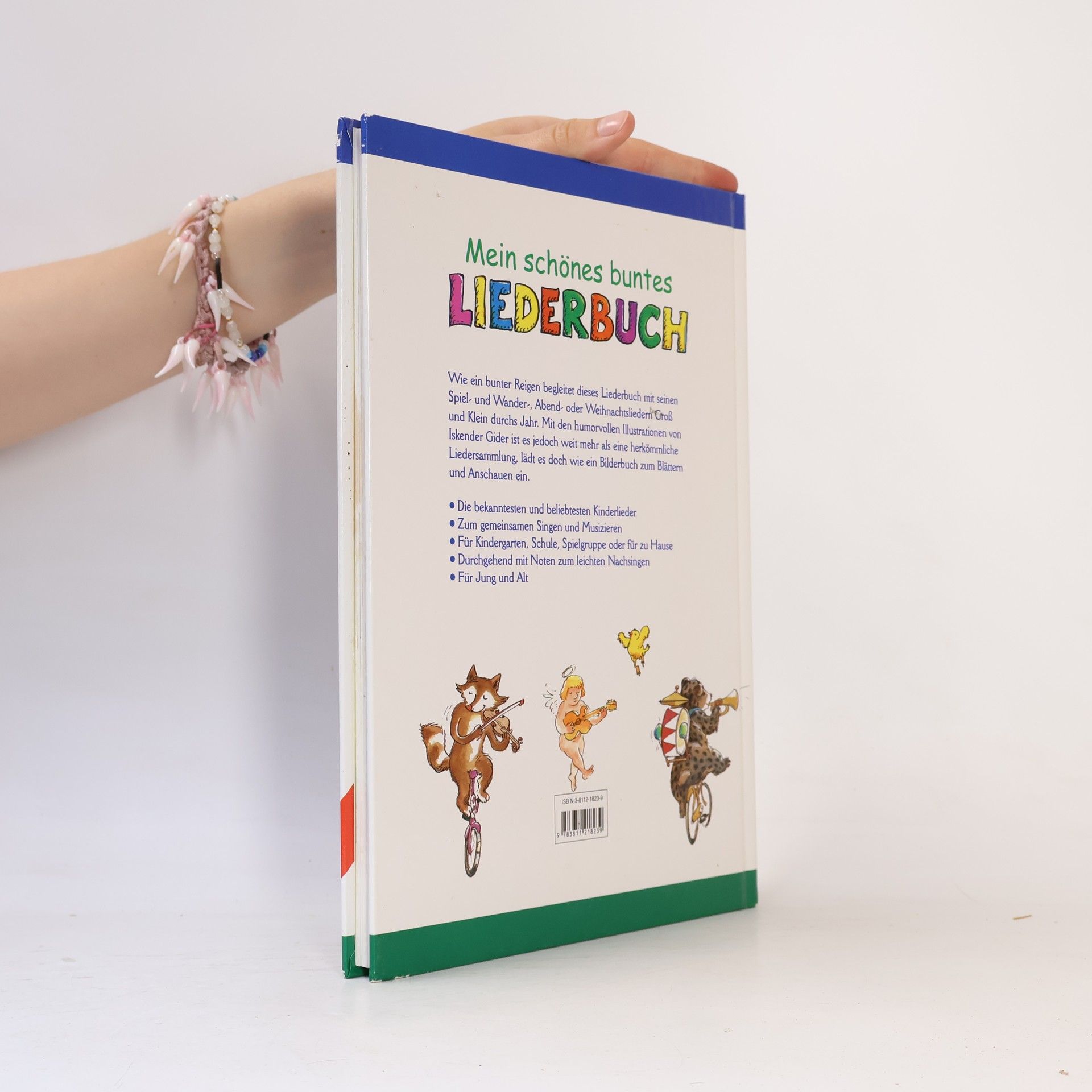 Autorenkollektiv Mein schönes buntes Liederbuch