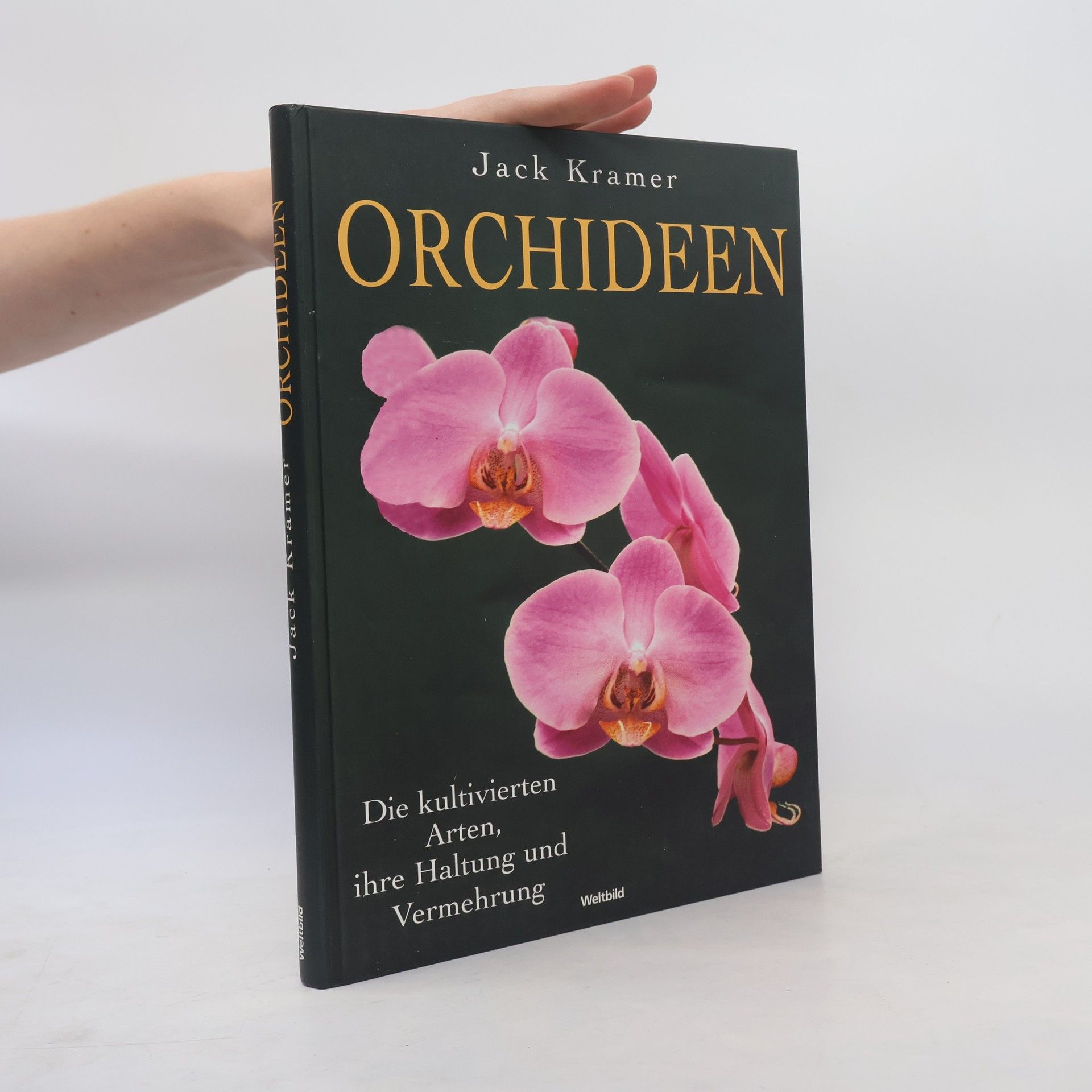 Jack Kramer Orchideen