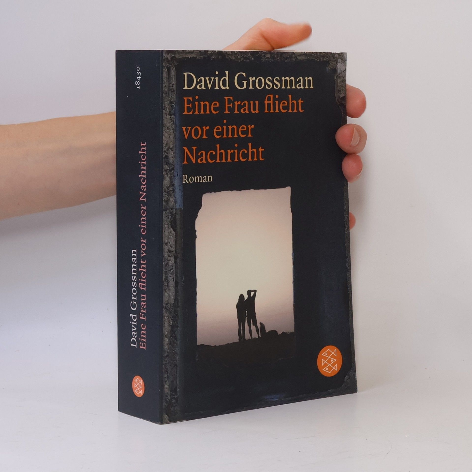 David Grossman Eine Frau flieht vor einer Nachricht