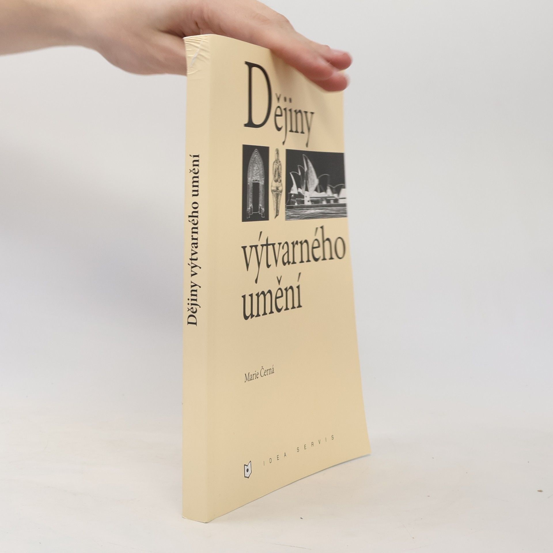 Marie Černá Dějiny výtvarného umění