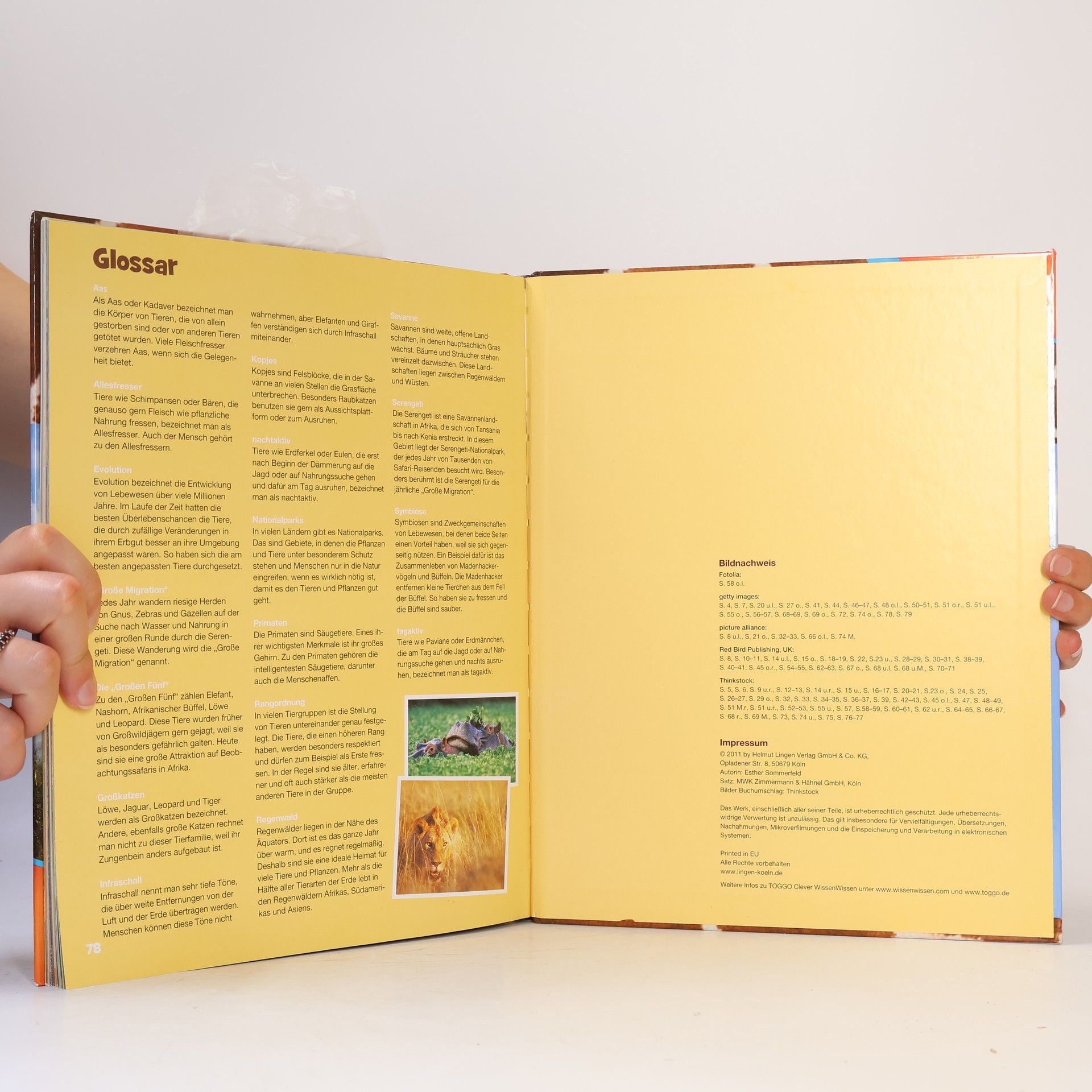 Autores varios Safari. Wissen in 3D
