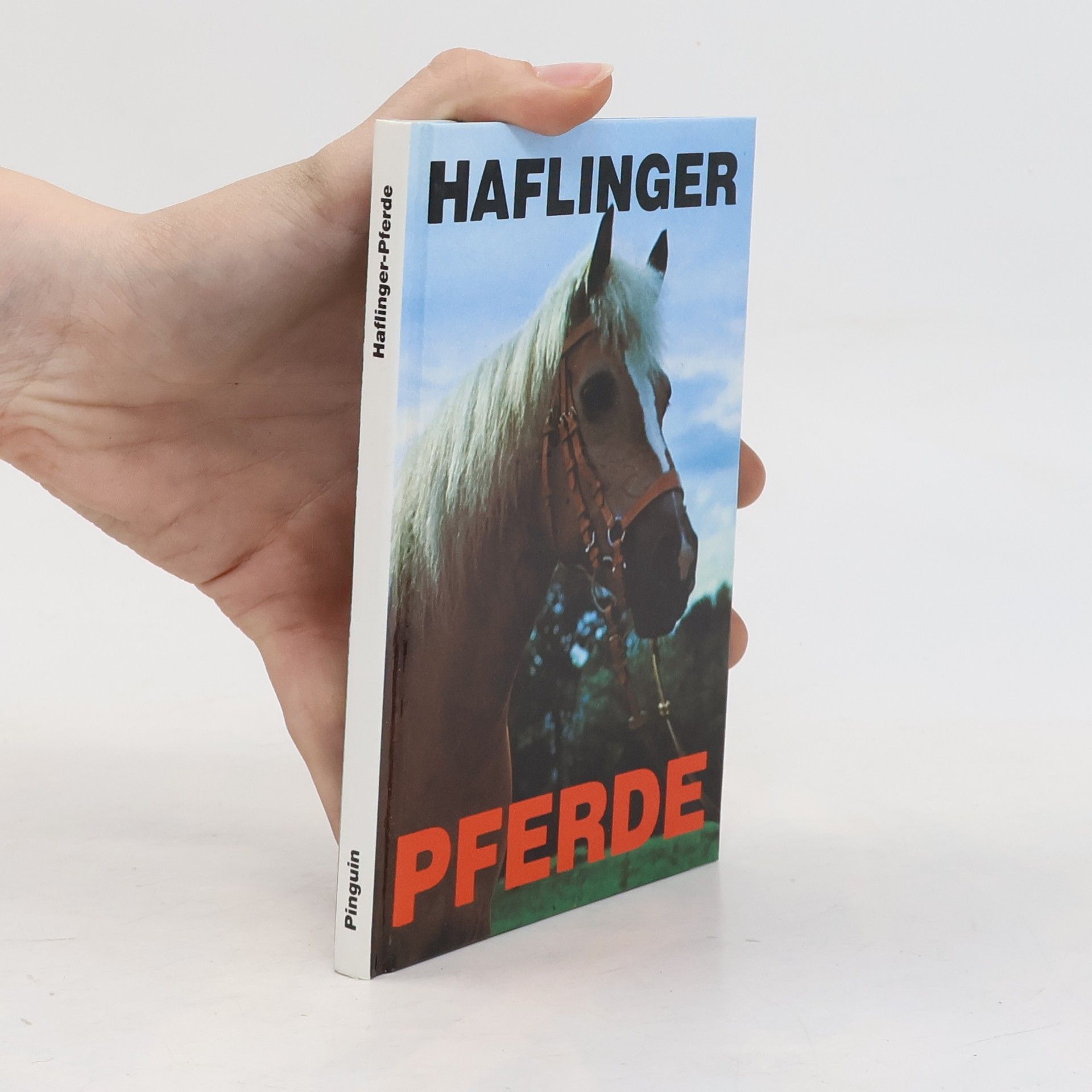 Autorenkollektiv Haflinger-Pferde