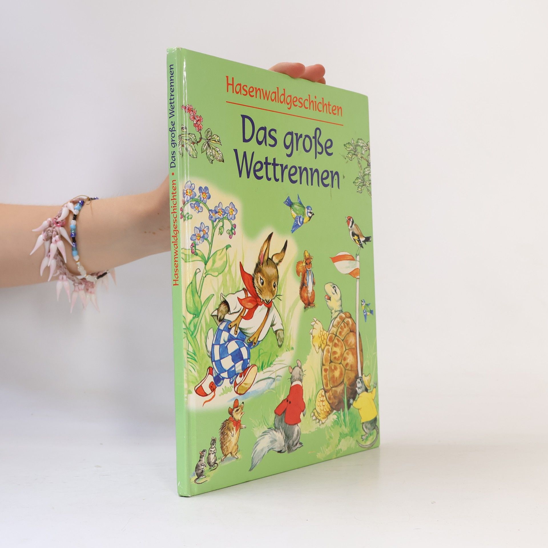 Autorenkollektiv Hasenwaldgeschichten. Das große Wettrennen.