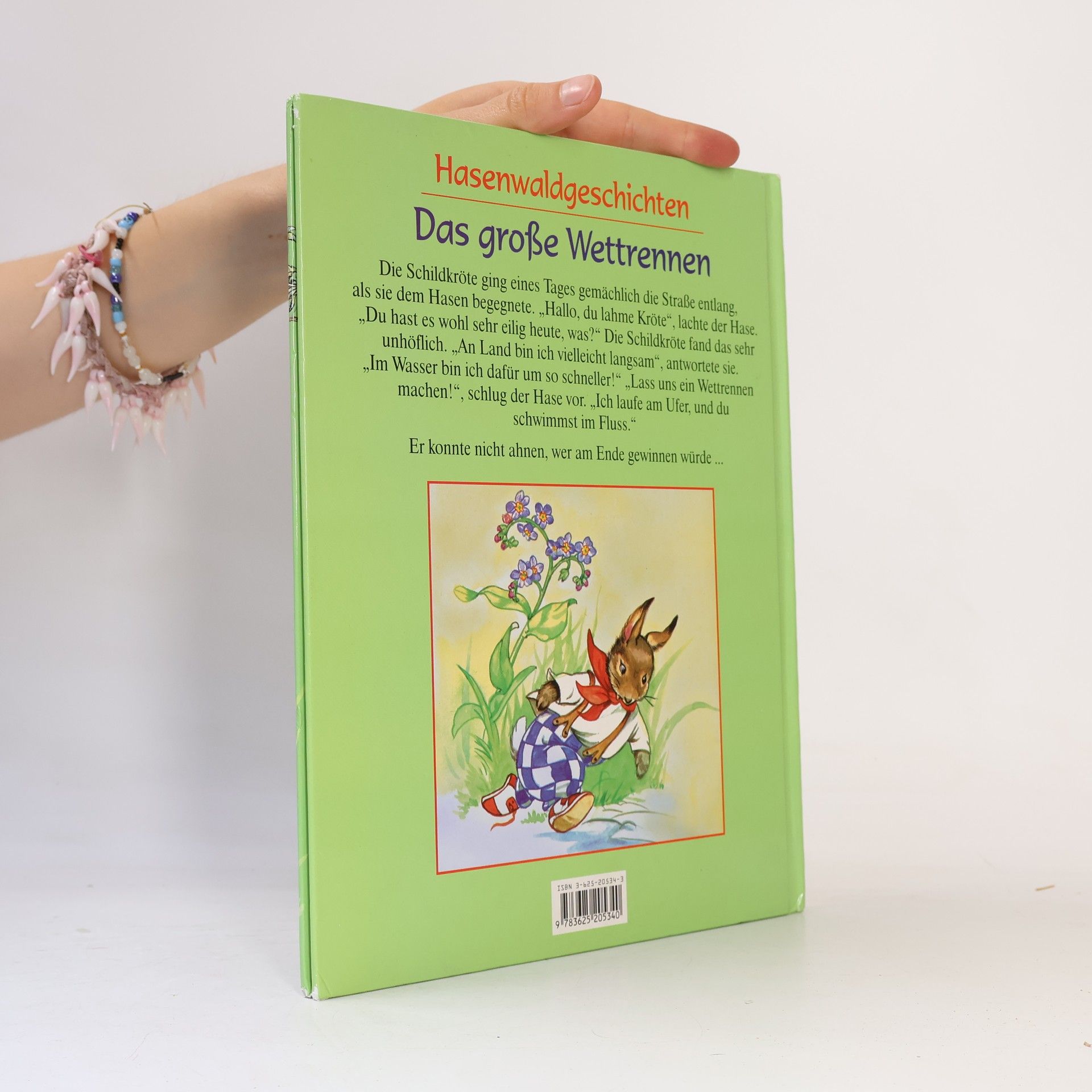 Autorenkollektiv Hasenwaldgeschichten. Das große Wettrennen.
