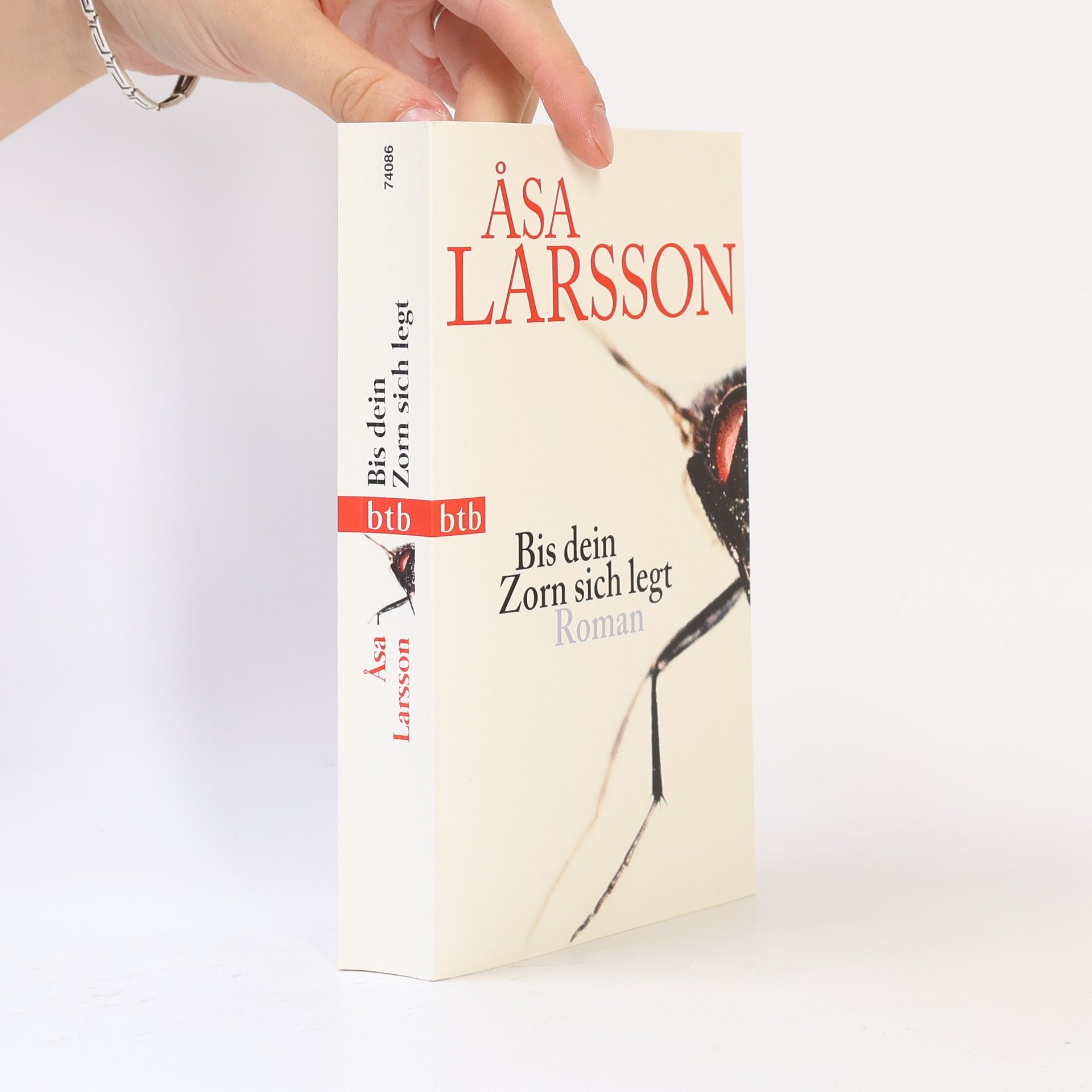 Åsa Larsson Bis dein Zorn sich legt