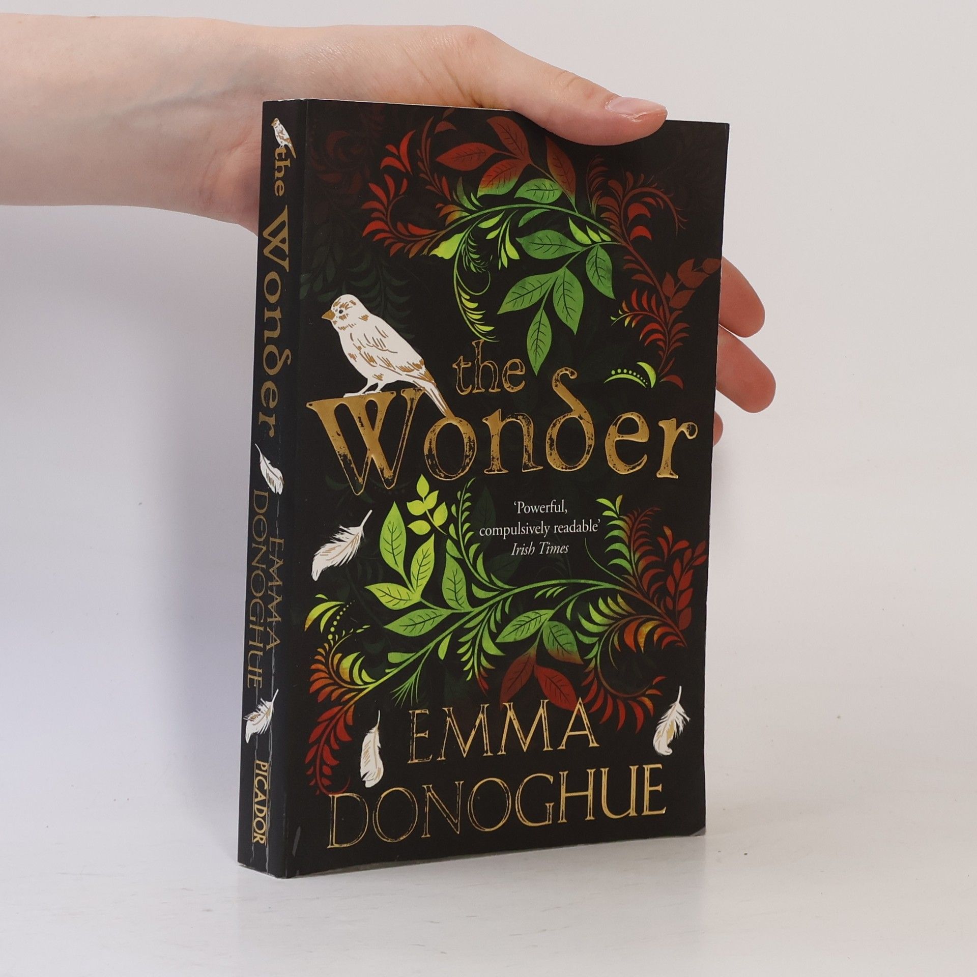 Emma Donoghue The Wonder