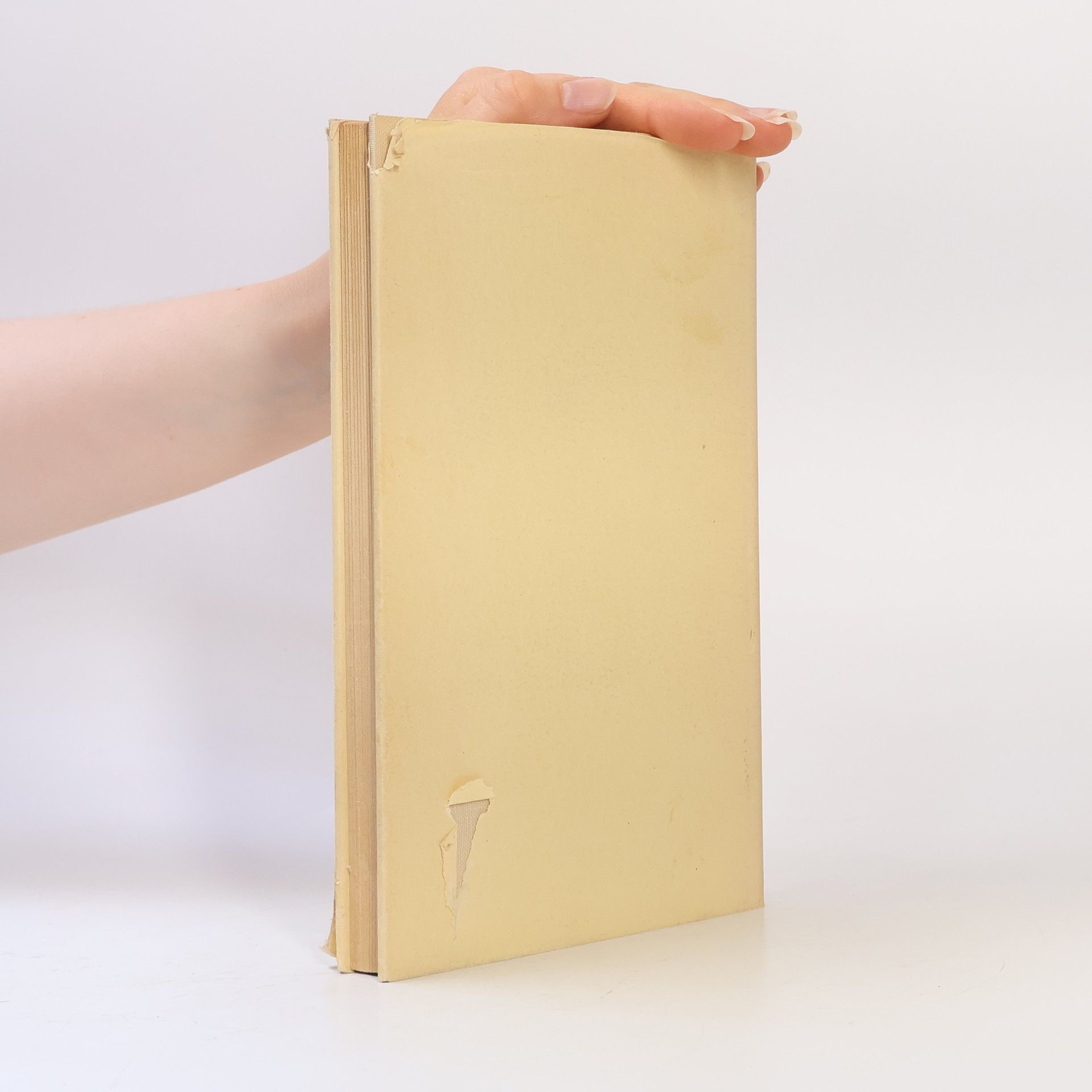 Franz Hirtler Nur die Liebe kann erziehen. Ein Buch für Eltern und Erzieher
