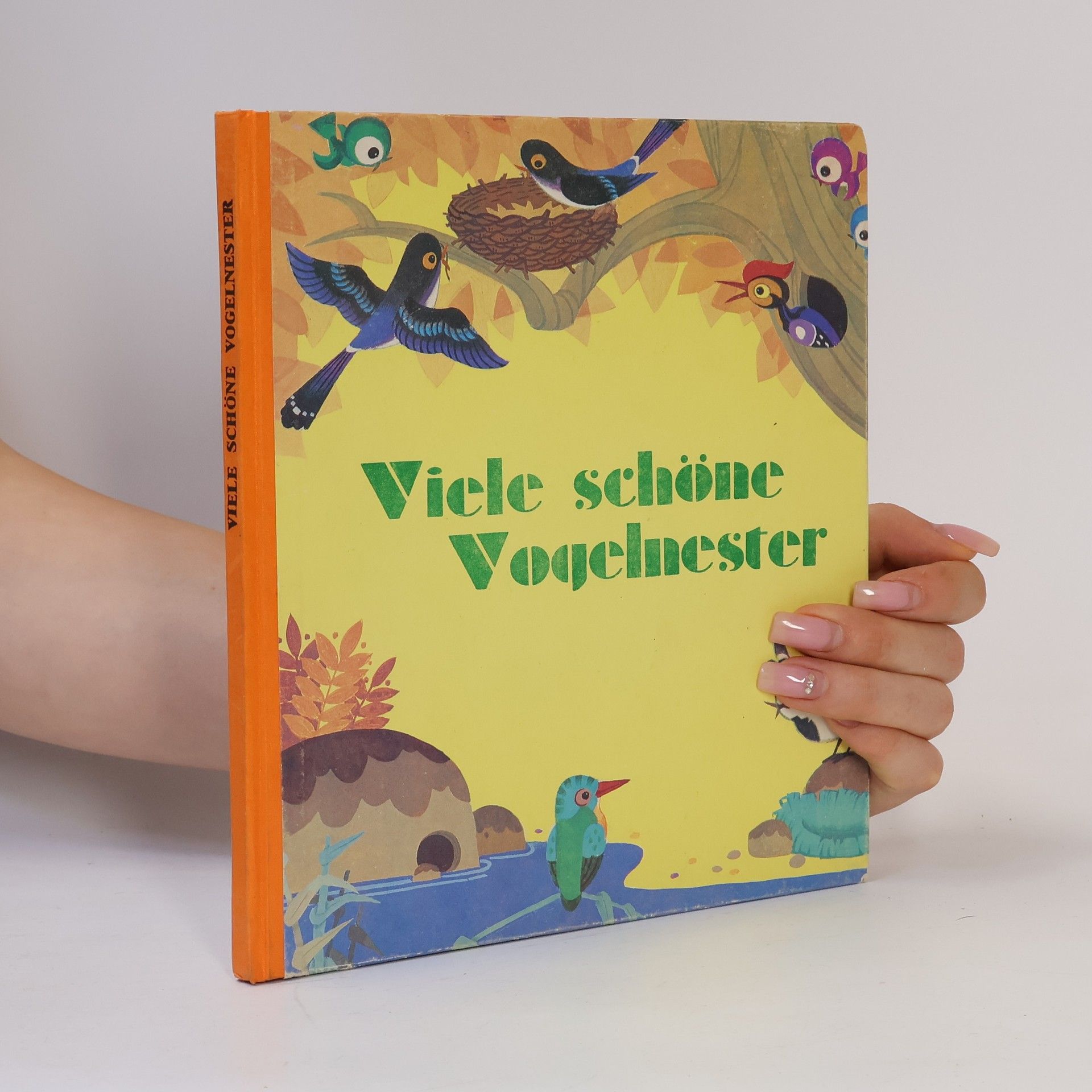 Autorenkollektiv Viele schöne Vogelnester