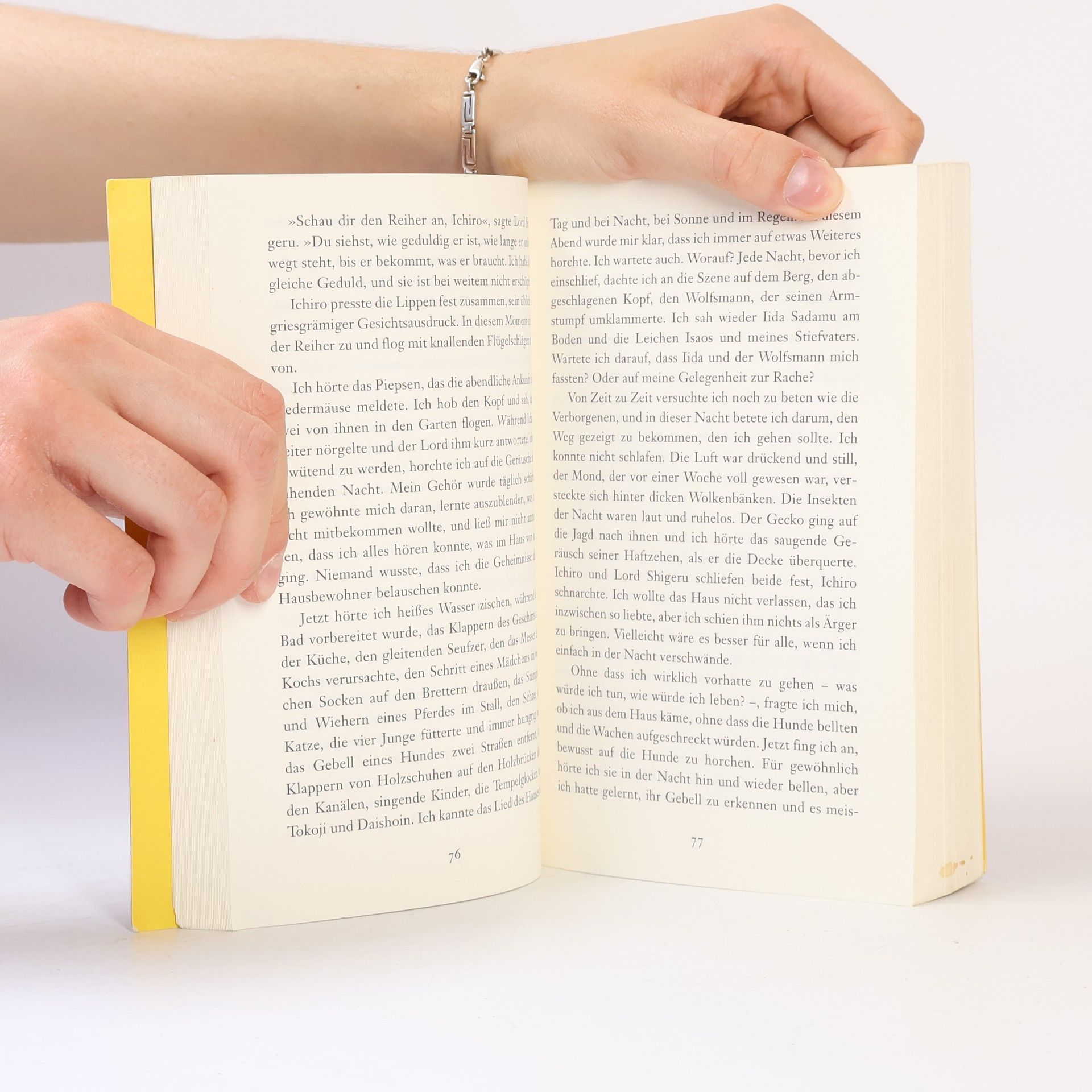 Lian Hearn Das Schwert in der Stille