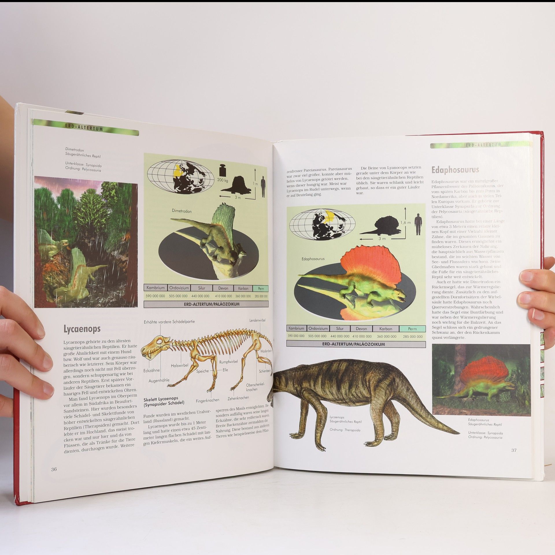 Various authors Die Dinosaurier