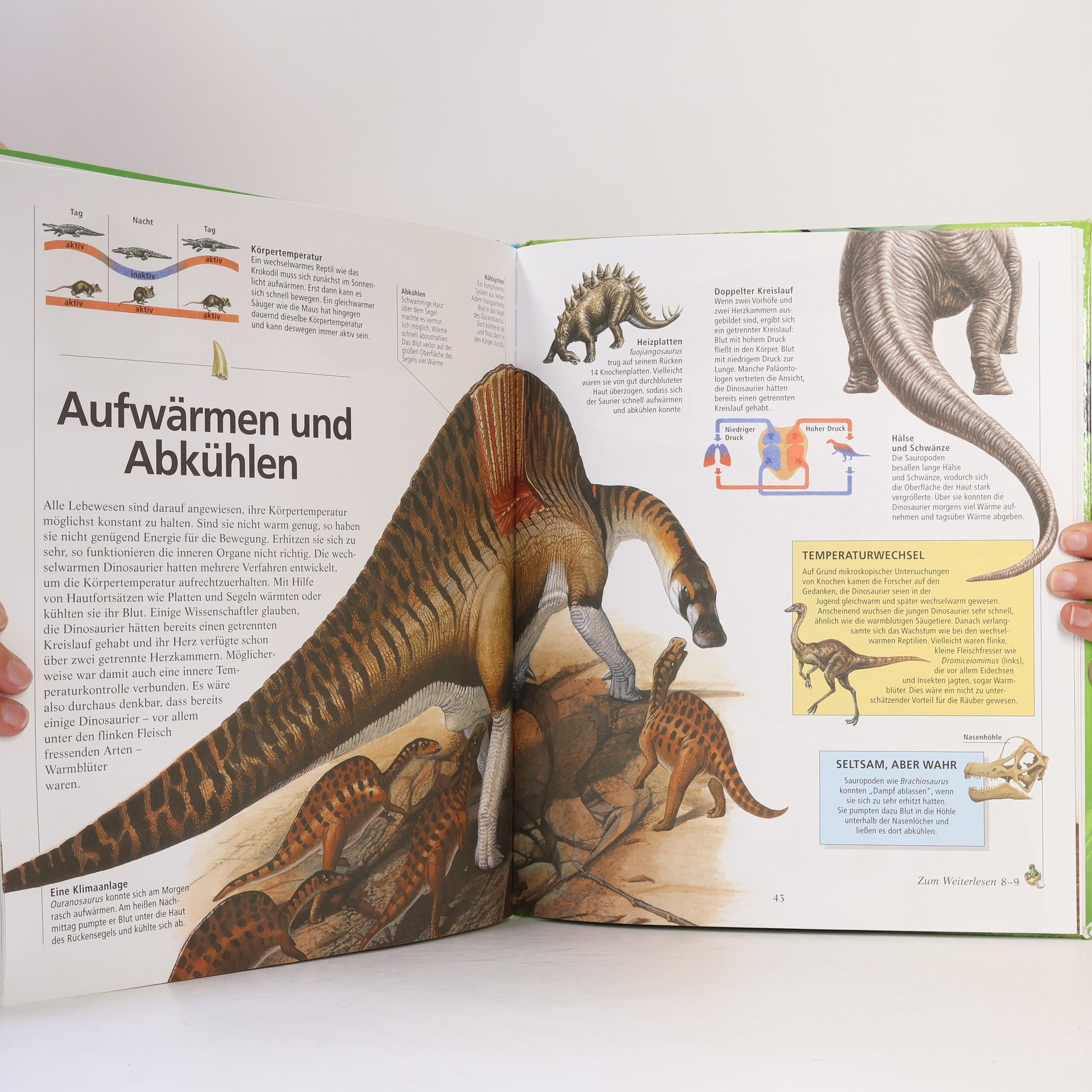 Autores varios Dinosaurier