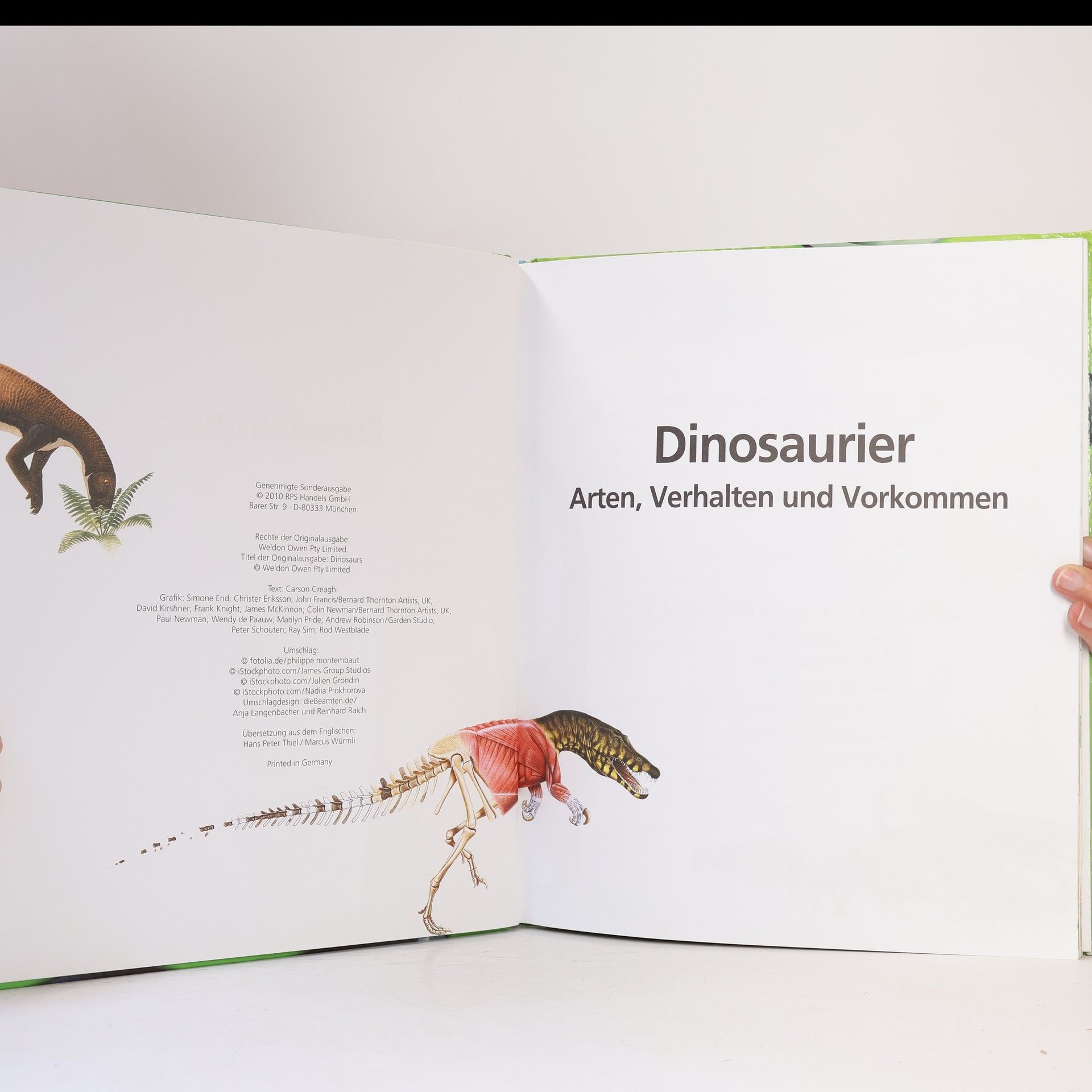 Autores varios Dinosaurier