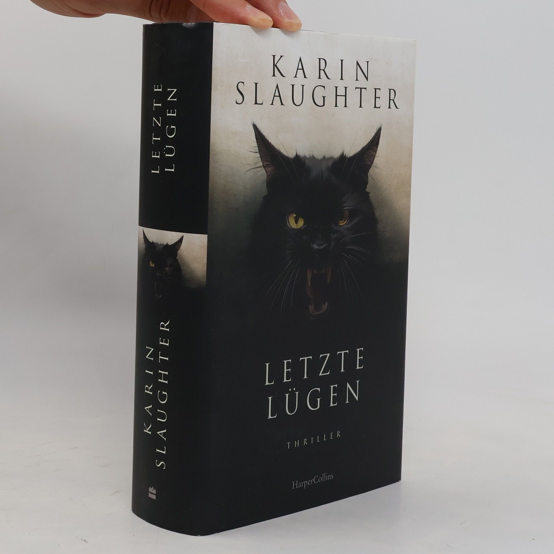 Karin Slaughter Die letzte Nacht