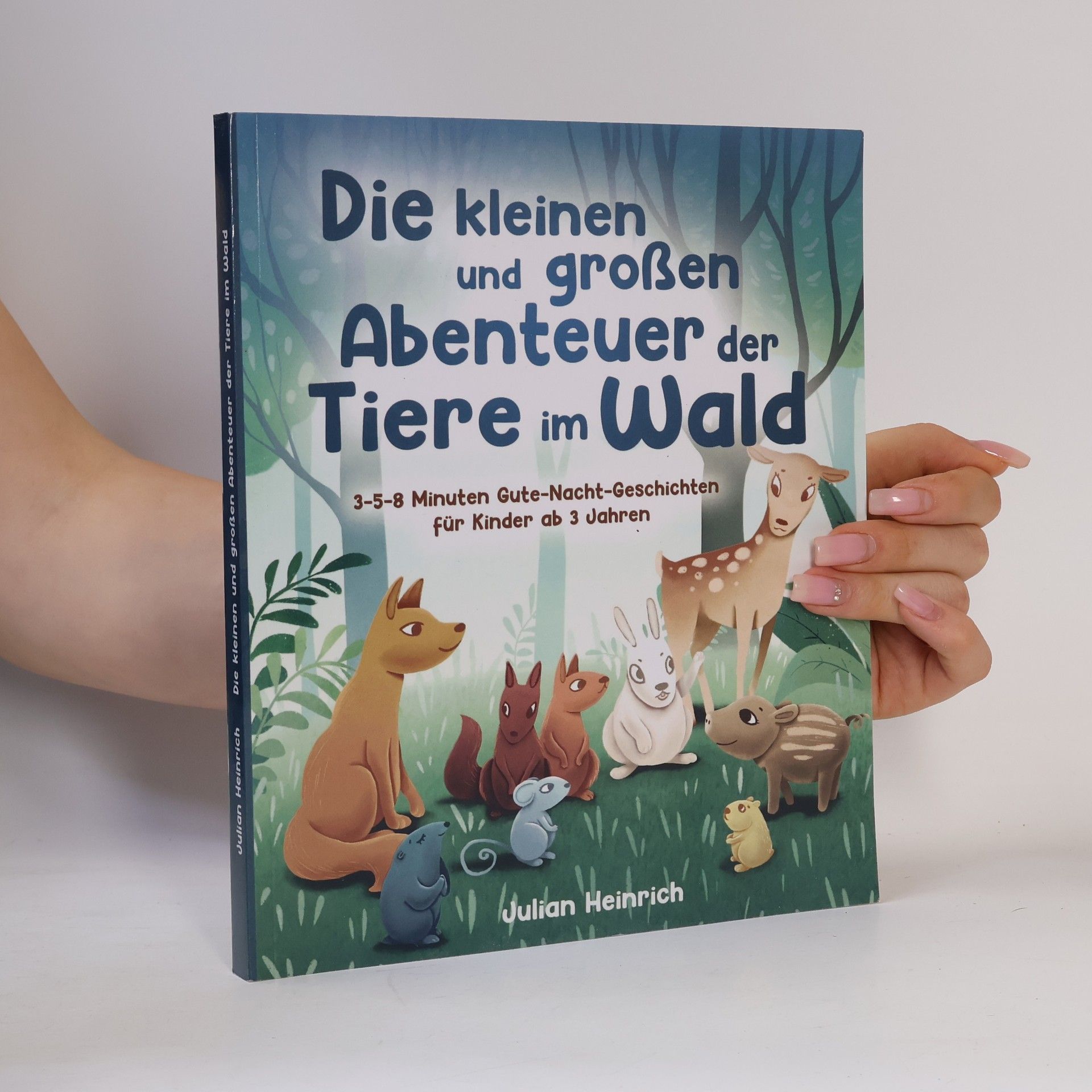 Julian Heinrich Die kleinen und großen Abenteuer der Tiere im Wald