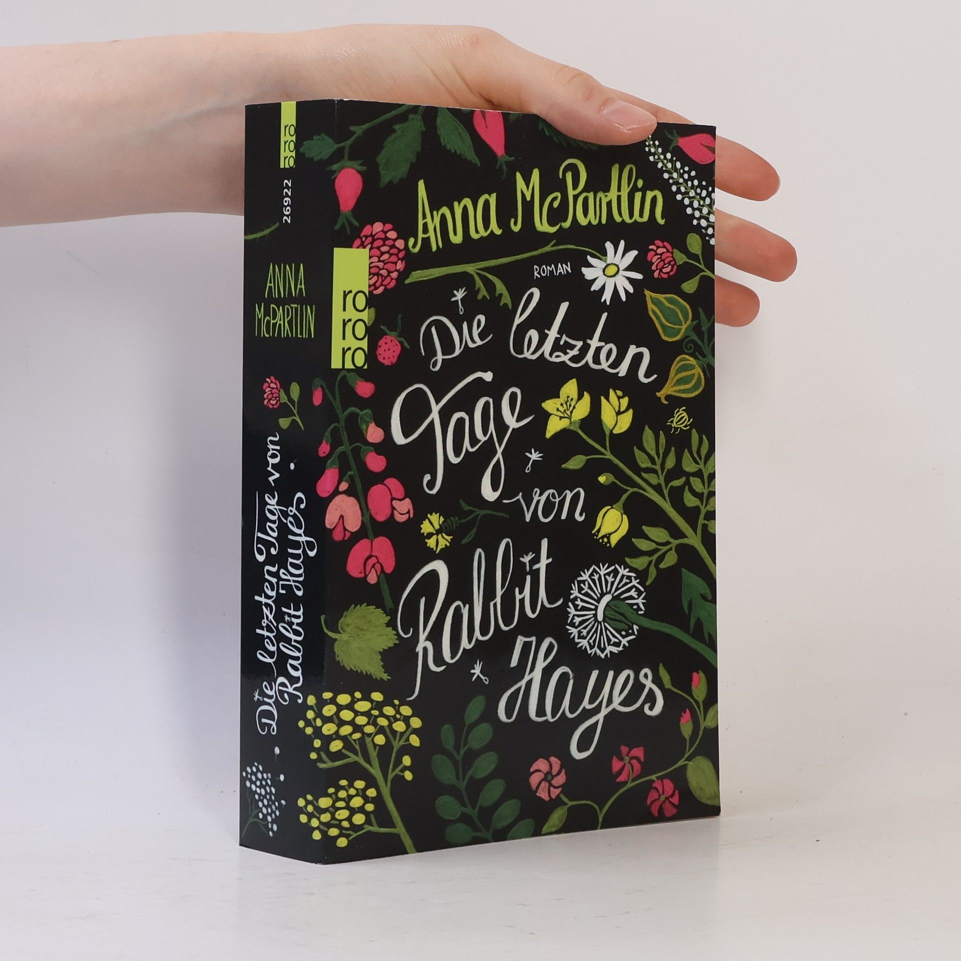 Anna Mc Partlin Die letzten Tage von Rabbit Hayes