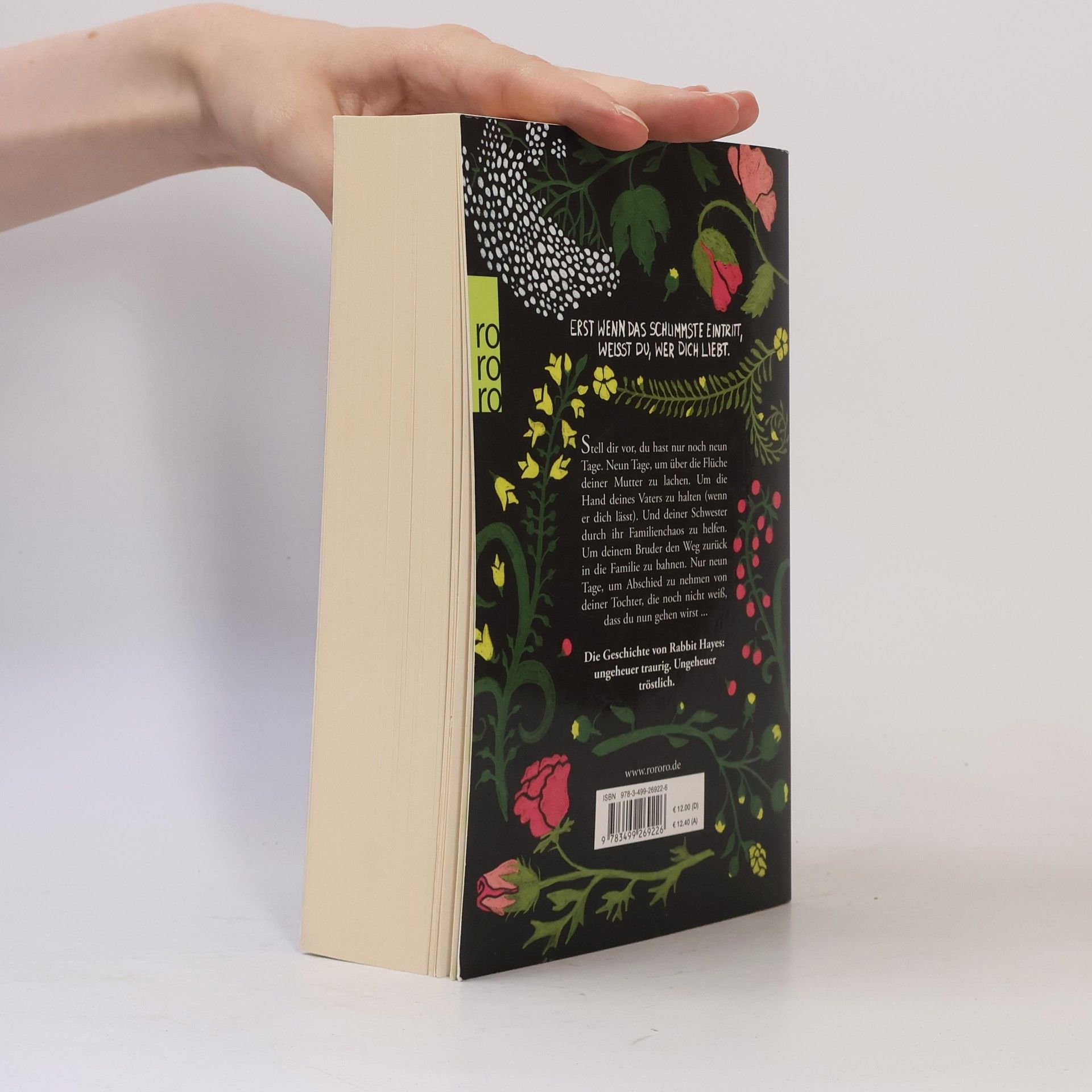 Anna Mc Partlin Die letzten Tage von Rabbit Hayes