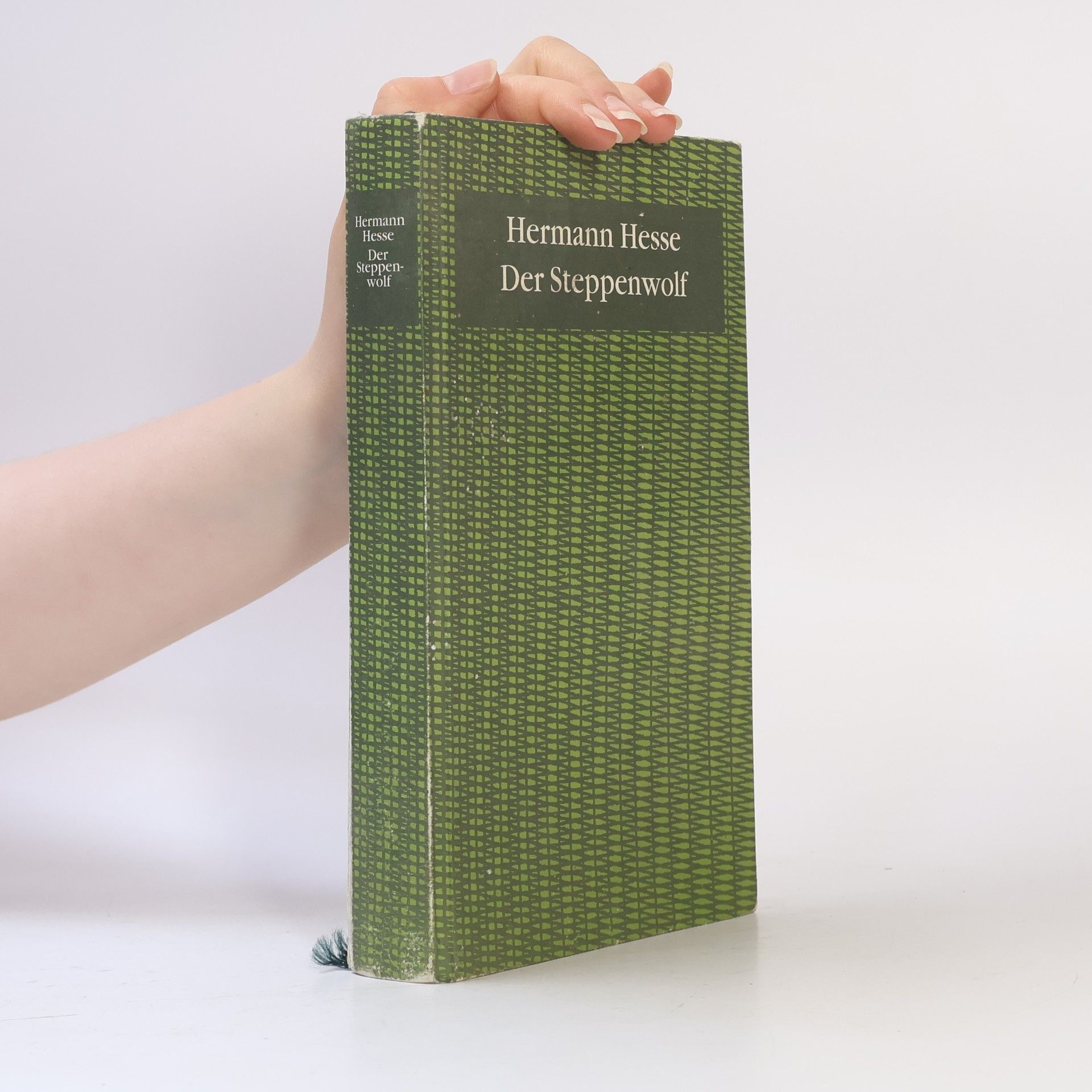 Hermann Hesse Der Steppenwolf