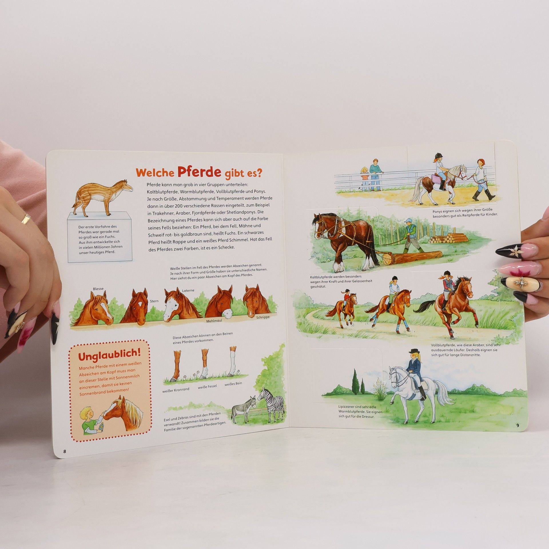 Kolektív autorov Pferde und Ponys