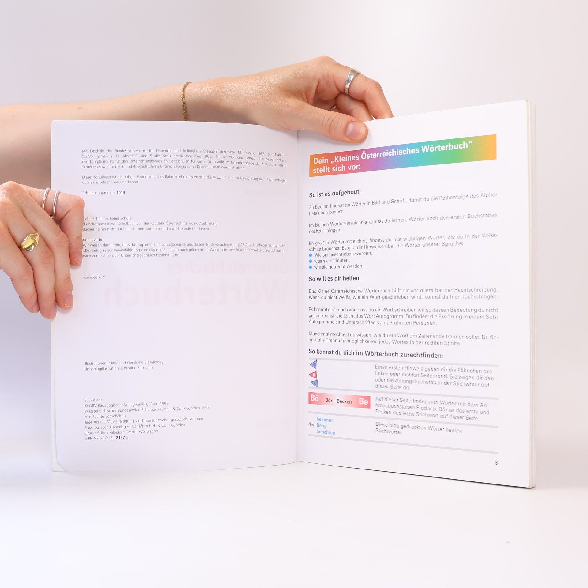 Autorenkollektiv Kleines Österreichisches Wörterbuch