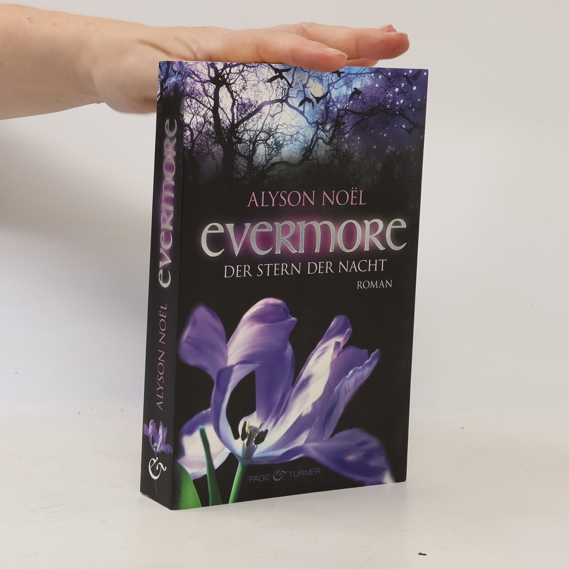 Alyson Noë͏l Evermore: Der Stern der Nacht