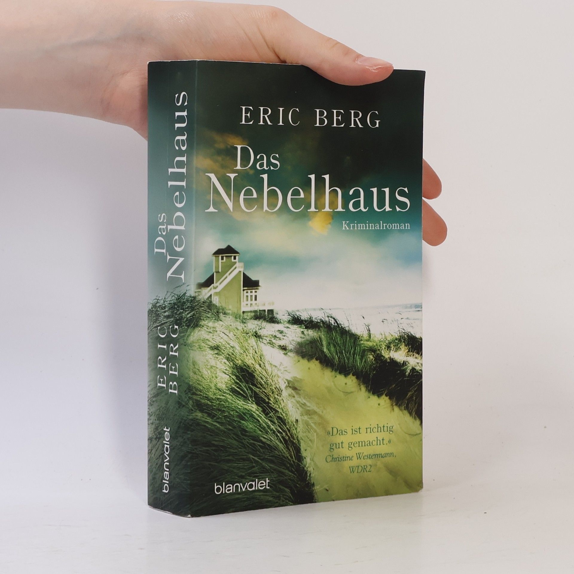 Eric Berg Das Nebelhaus