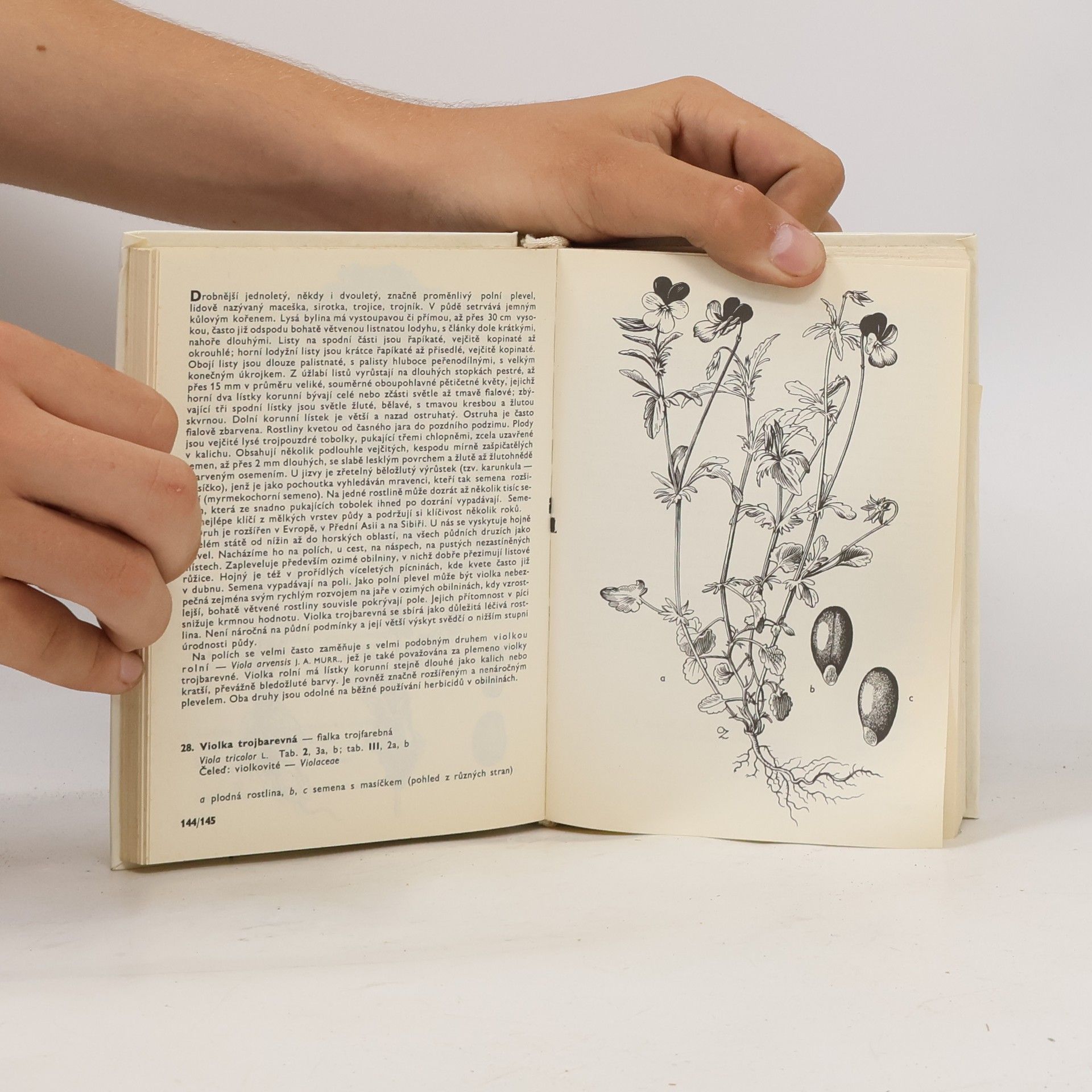 František Hron Kapesní atlas. Rostliny polí a zahrad