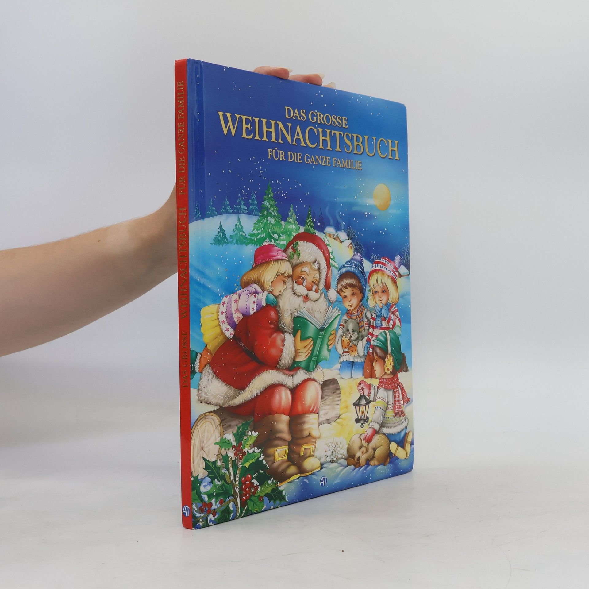 Autores varios Das große Weihnachtsbuch für die ganze Familie