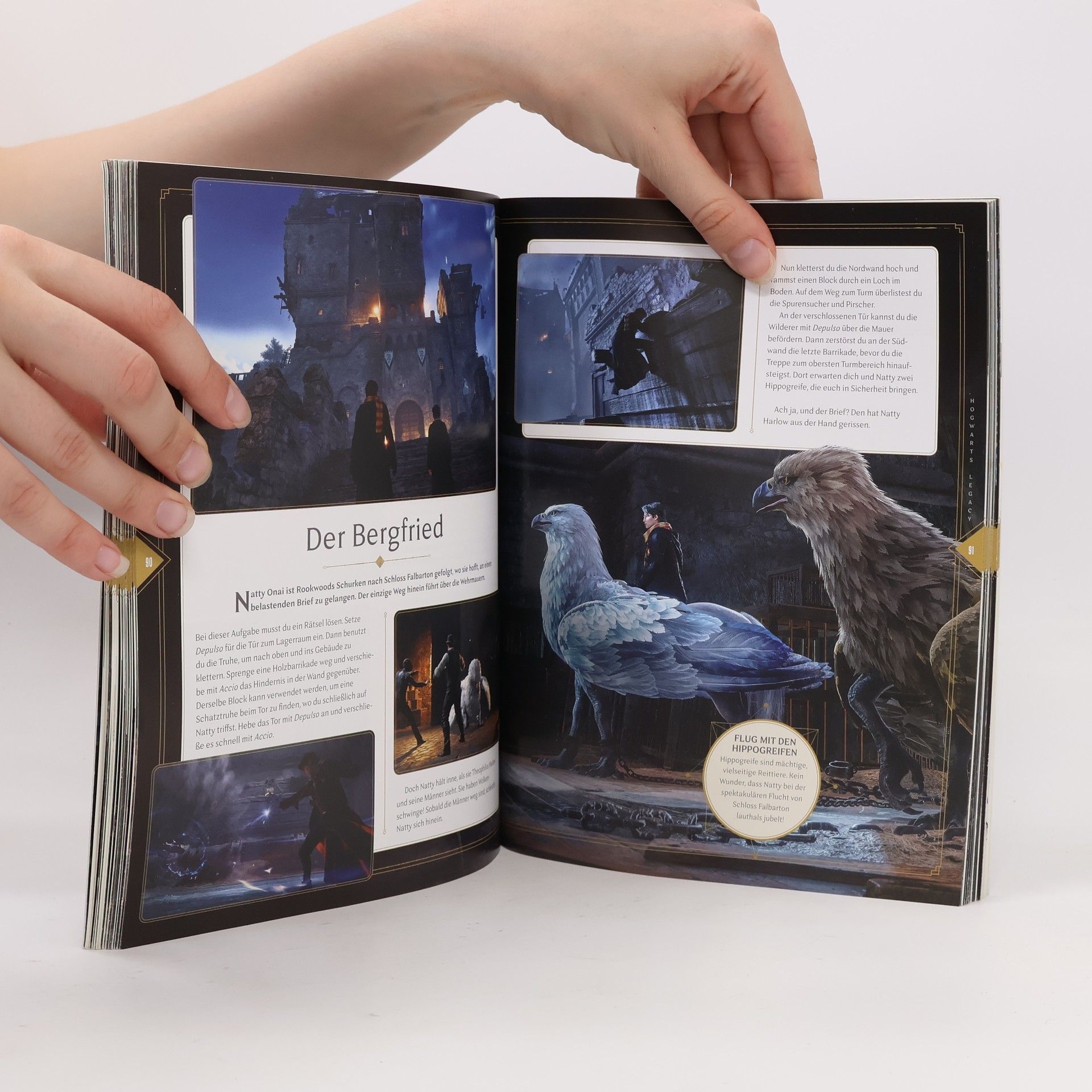 P. C. W. Davies Hogwarts legacy - der offizielle Guide zum Spiel
