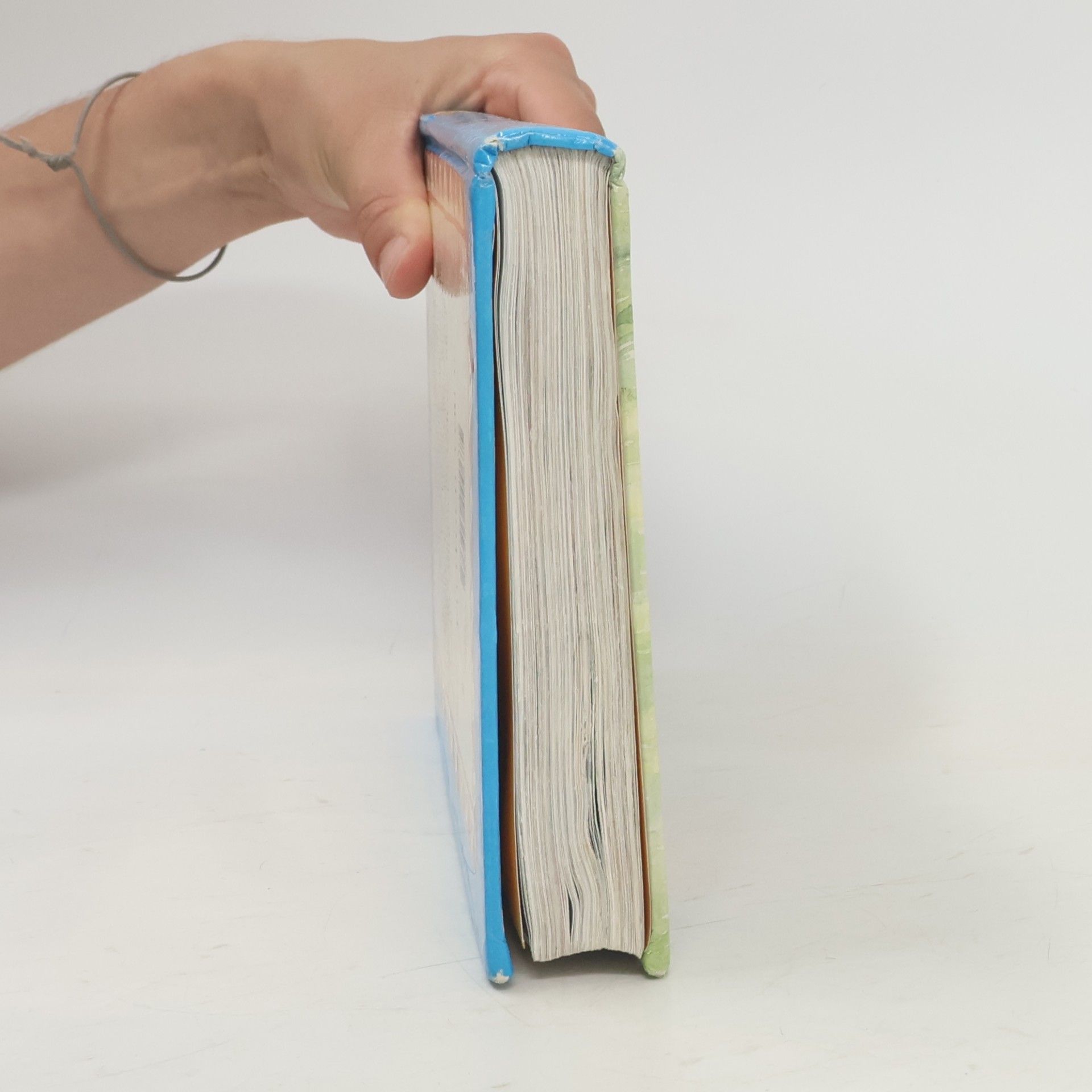 David Alexander Meine kleine Kinderbibel