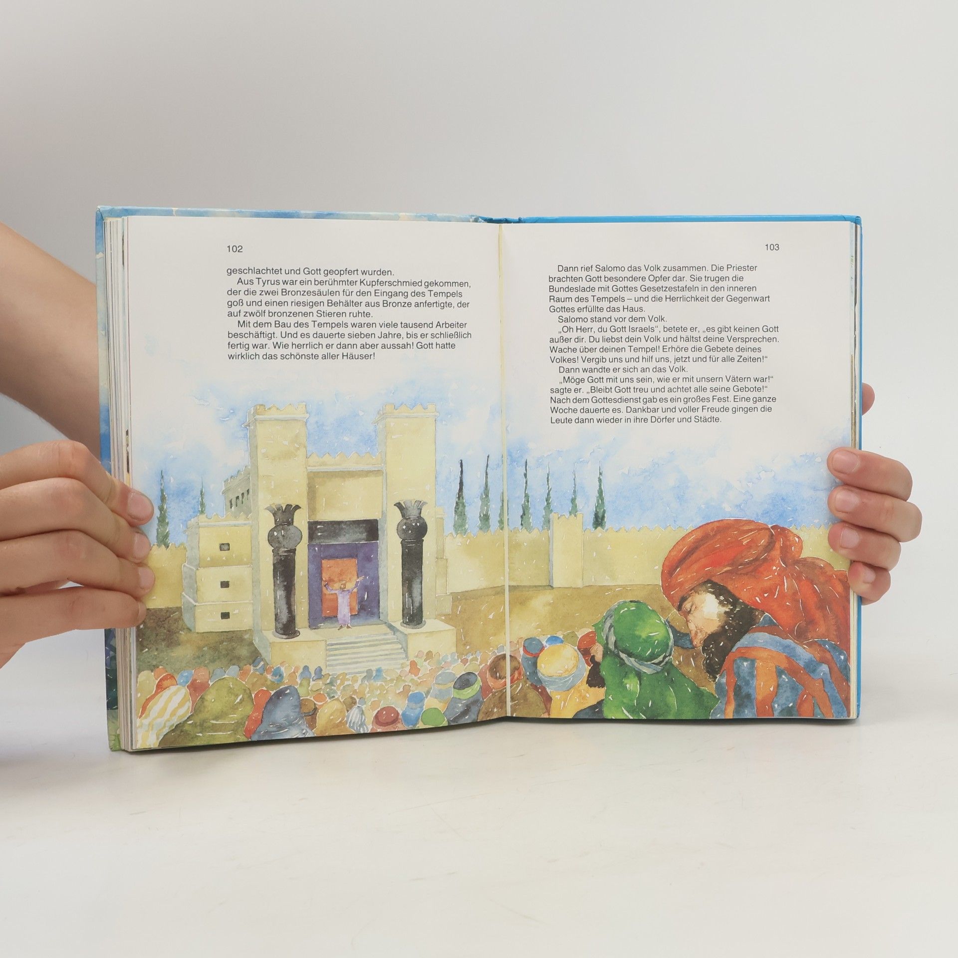 David Alexander Meine kleine Kinderbibel