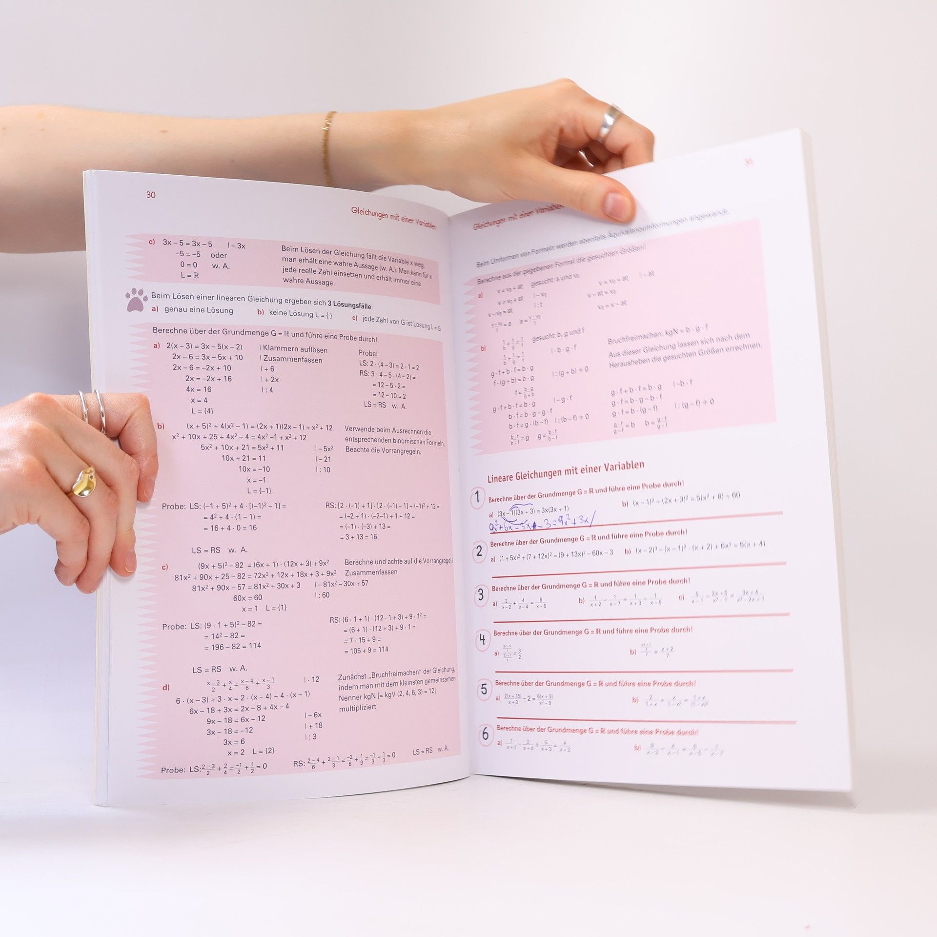 Günther Wagner Aufsteigen in Mathematik 5 (Zentralmatura)