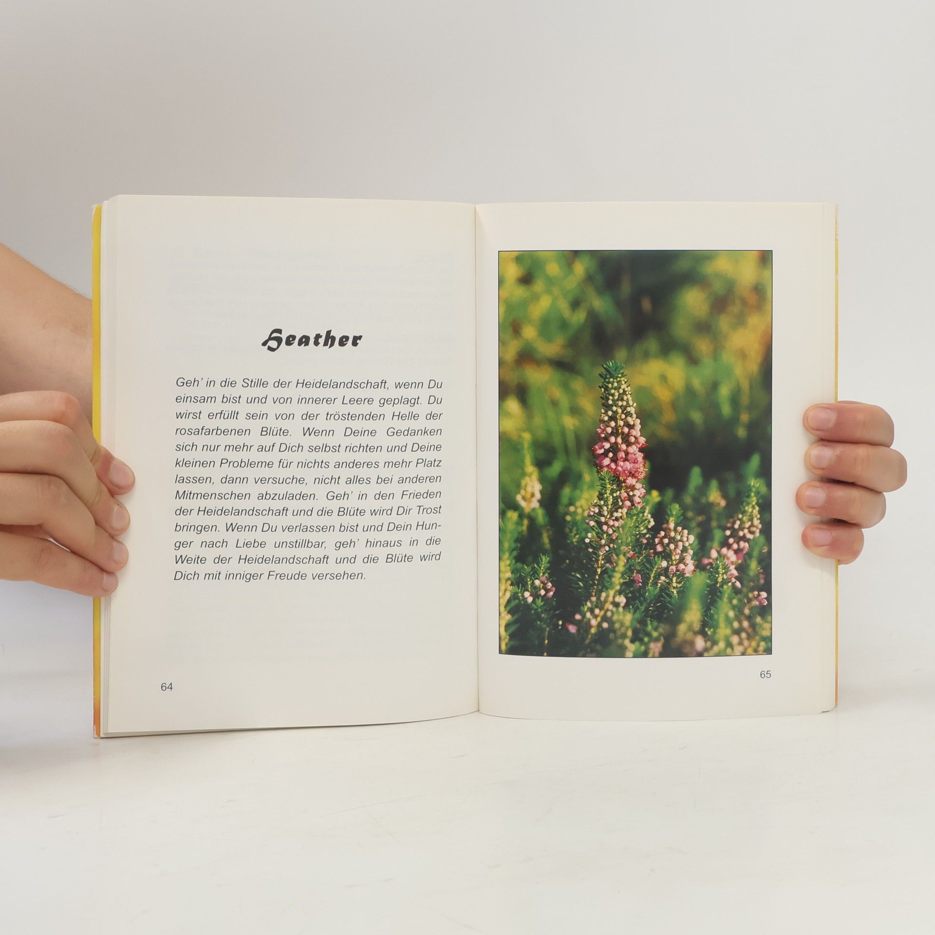 Heide Hurmer Blüten in Bewegung