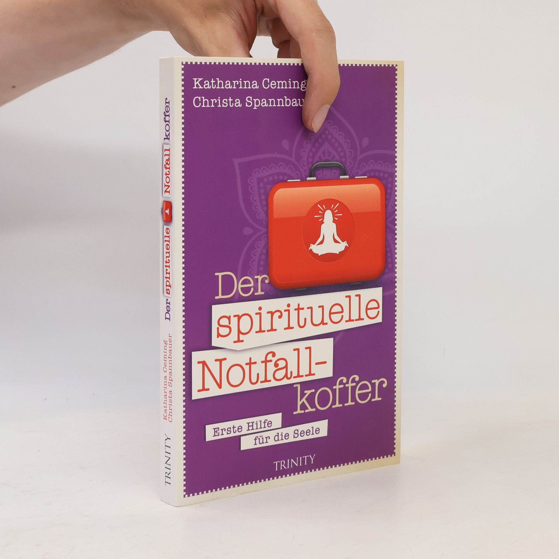 Katharina Ceming Der spirituelle Notfallkoffer