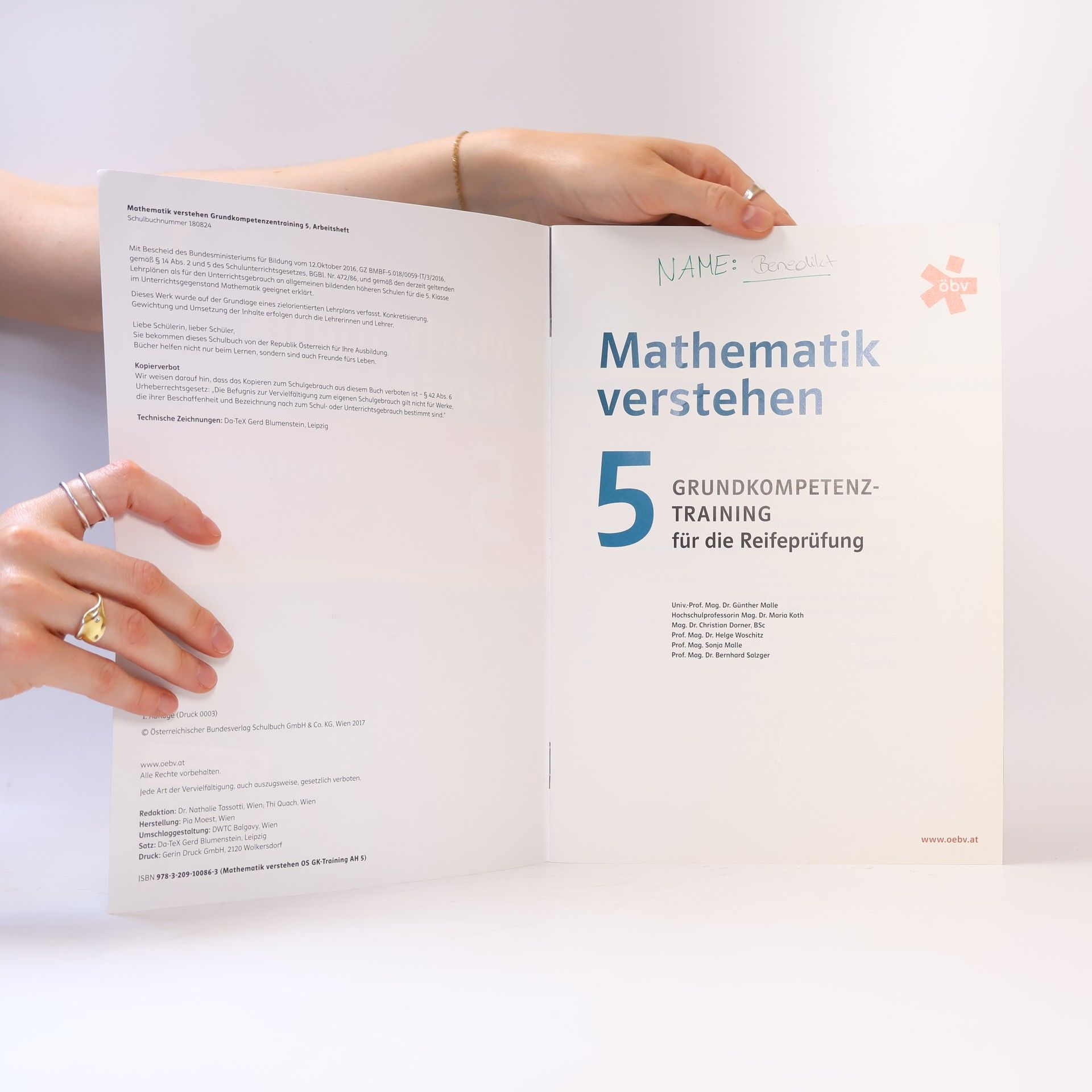 Various authors Mathematik verstehen 5.