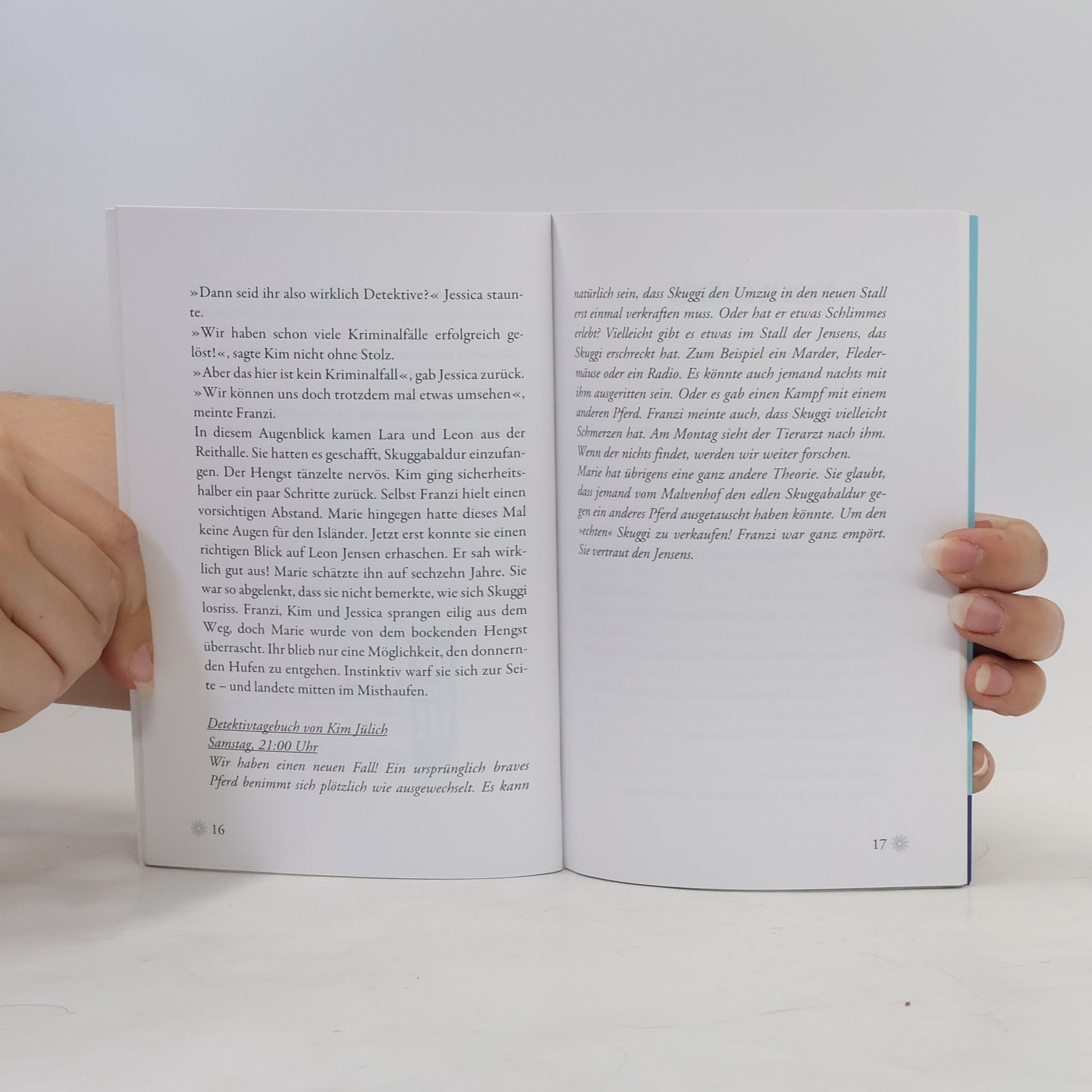 Autorenkollektiv Die Pony-Verschwörung