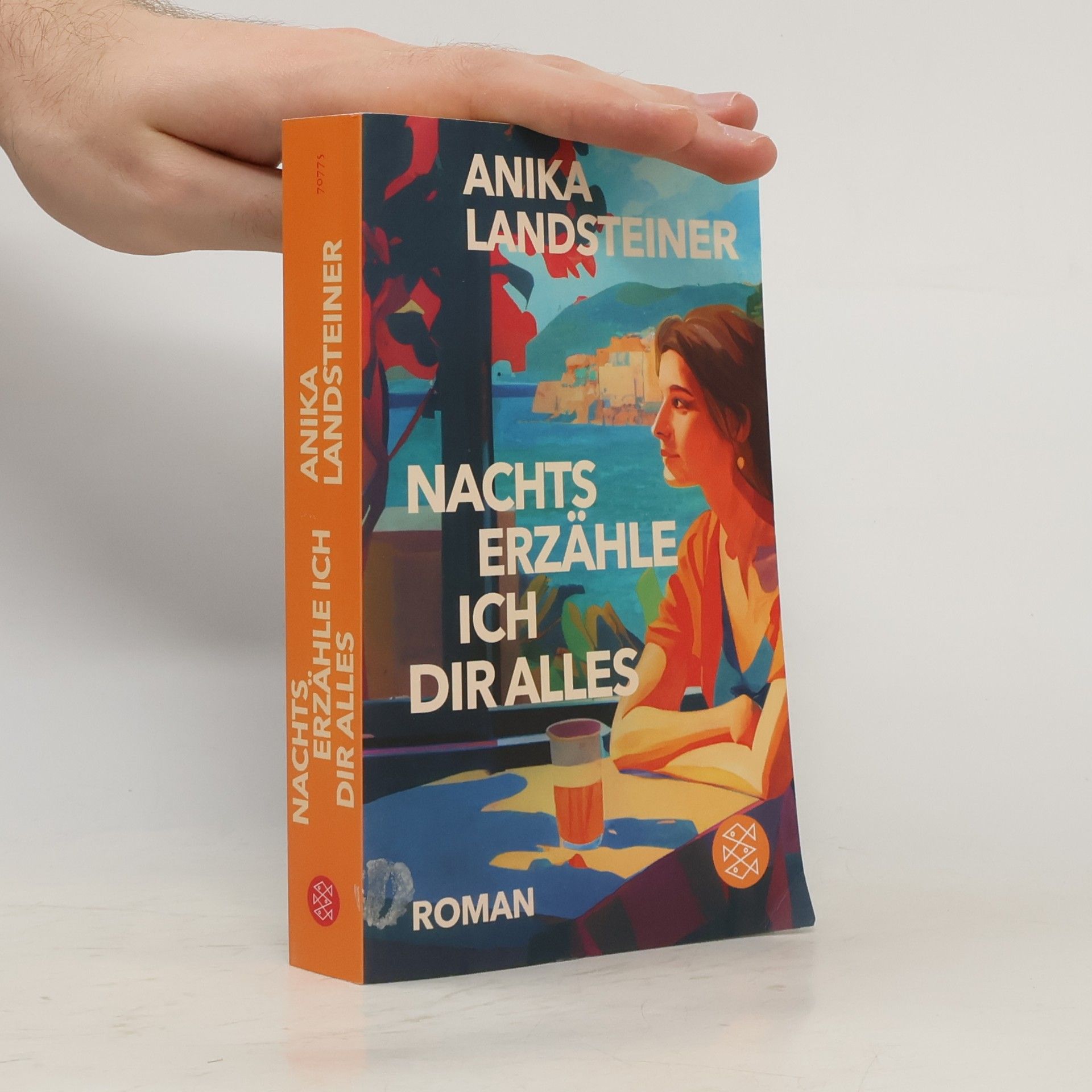 Anika Landsteiner Nachts erzähle ich dir alles