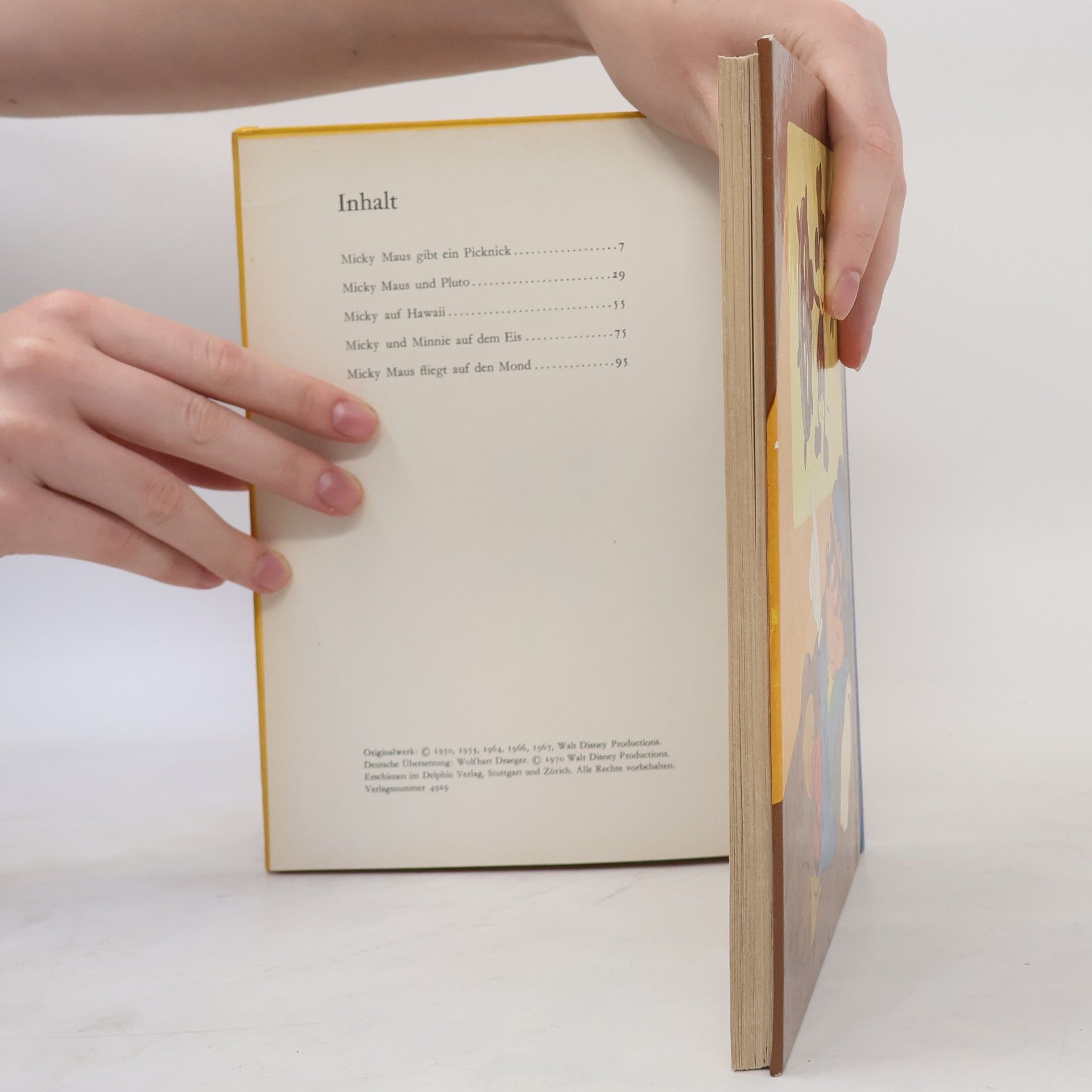 Autorenkollektiv Das Grosse Micky Maus Buch