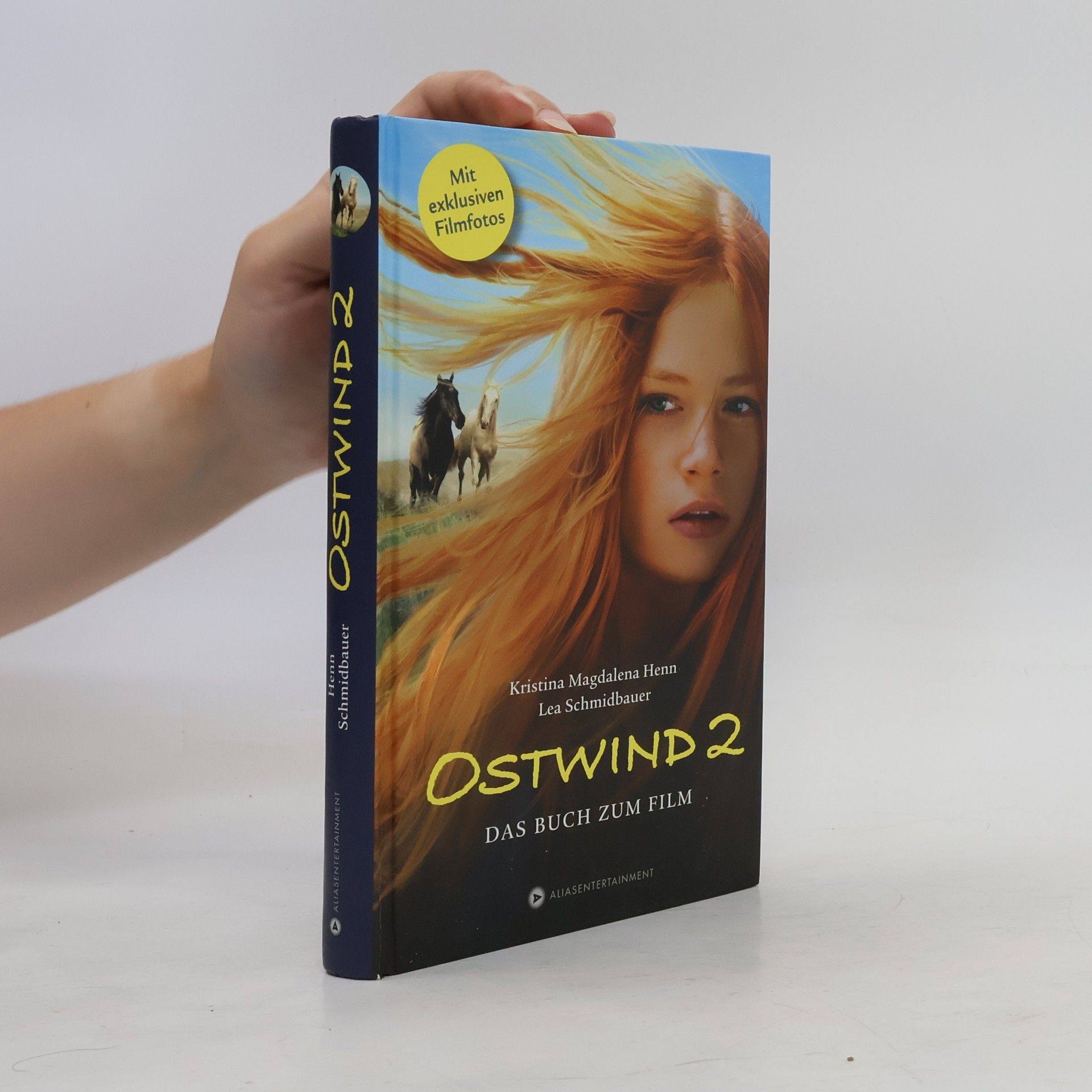 Ostwind 2 - Das Buch zum Film