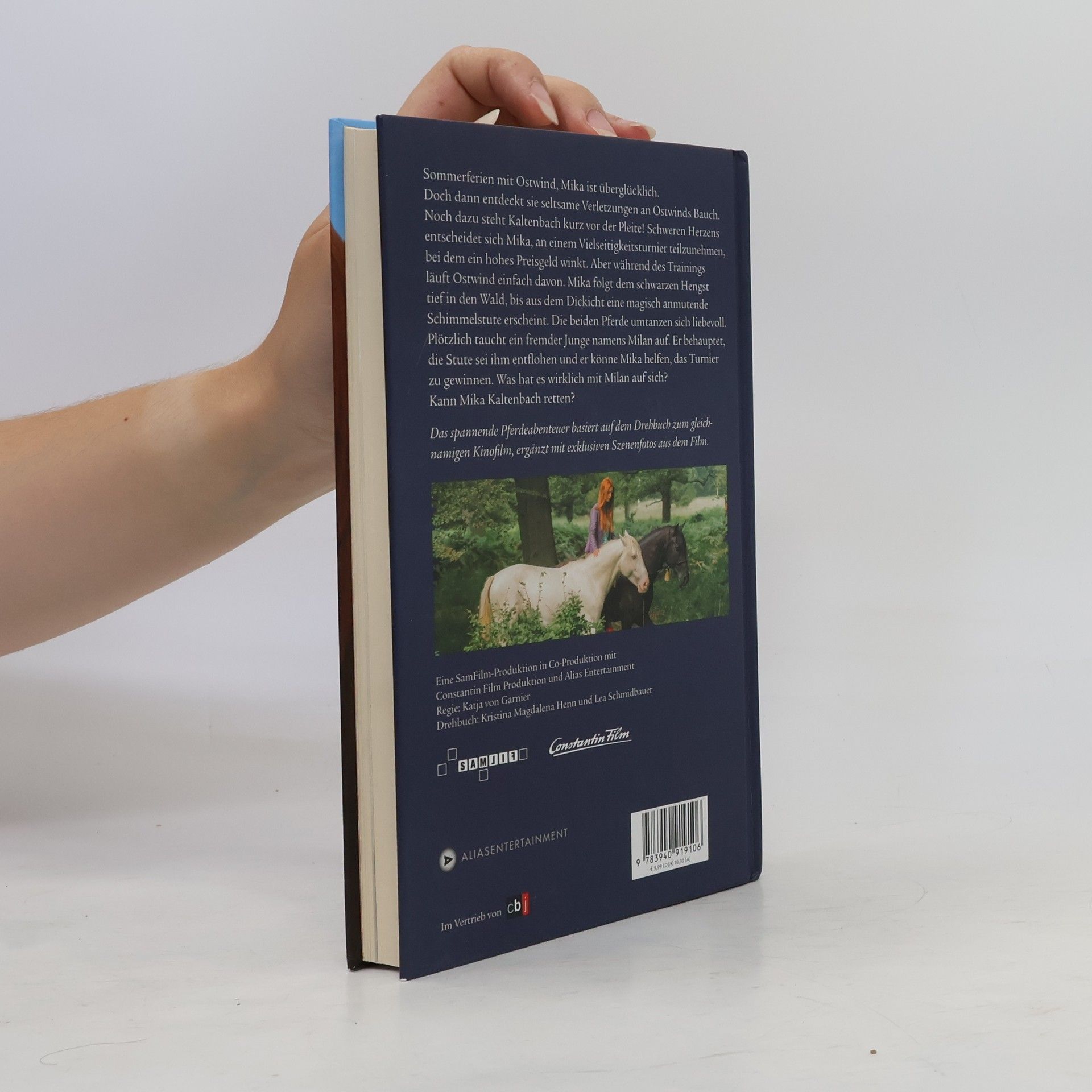 Kristina Magdalena Henn Ostwind 2 - Das Buch zum Film