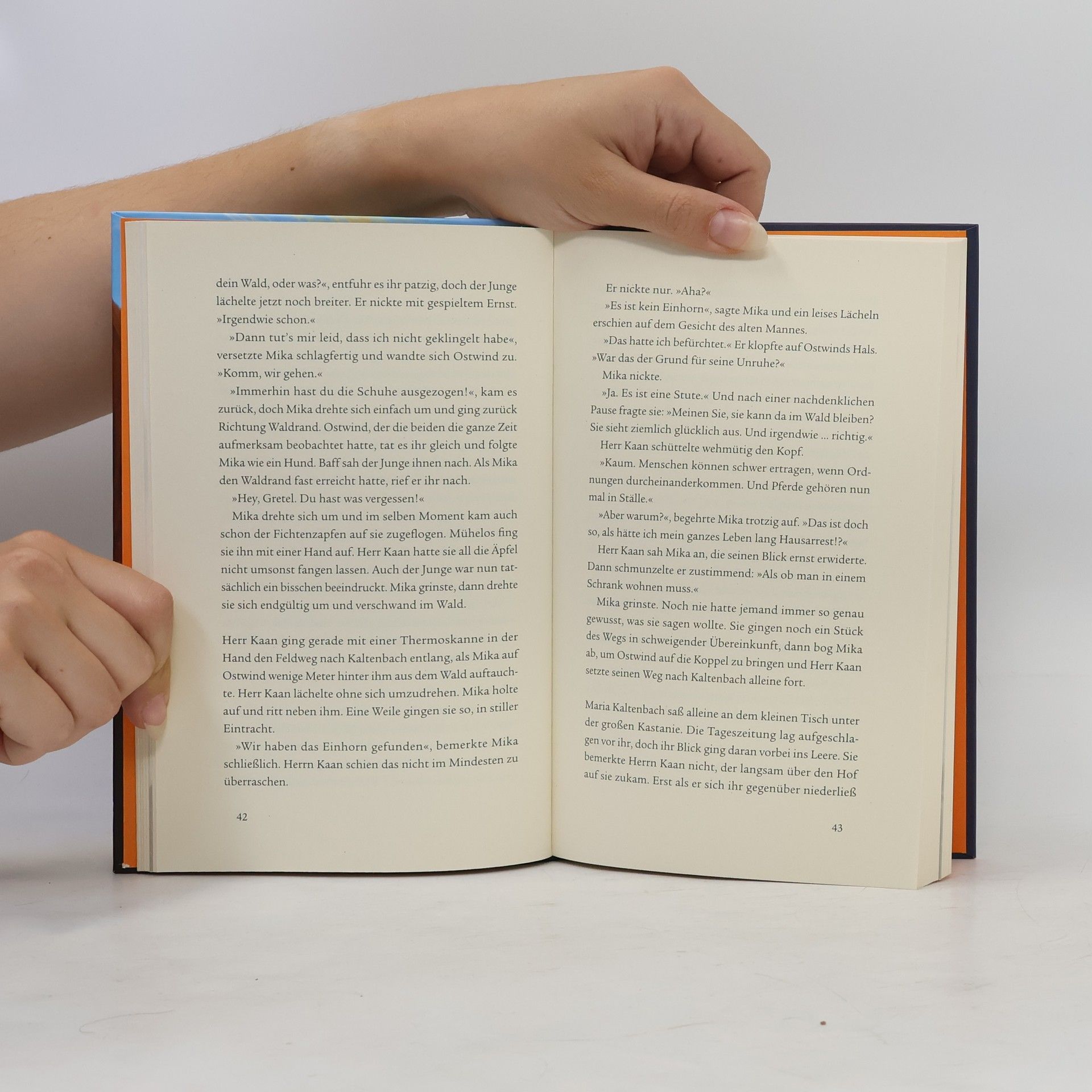 Kristina Magdalena Henn Ostwind 2 - Das Buch zum Film