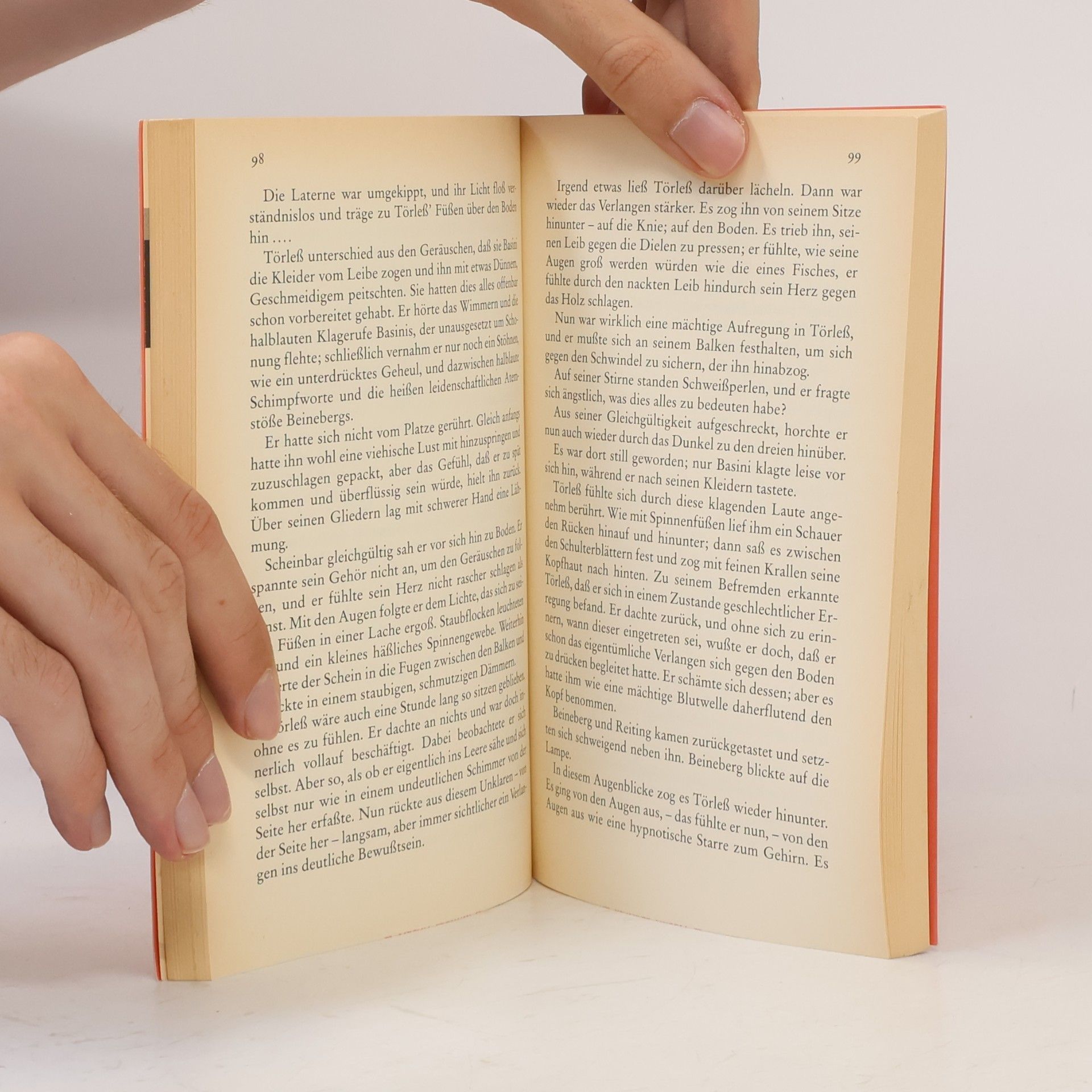 Robert Musil Die Verwirrungen des Zöglings Törleß