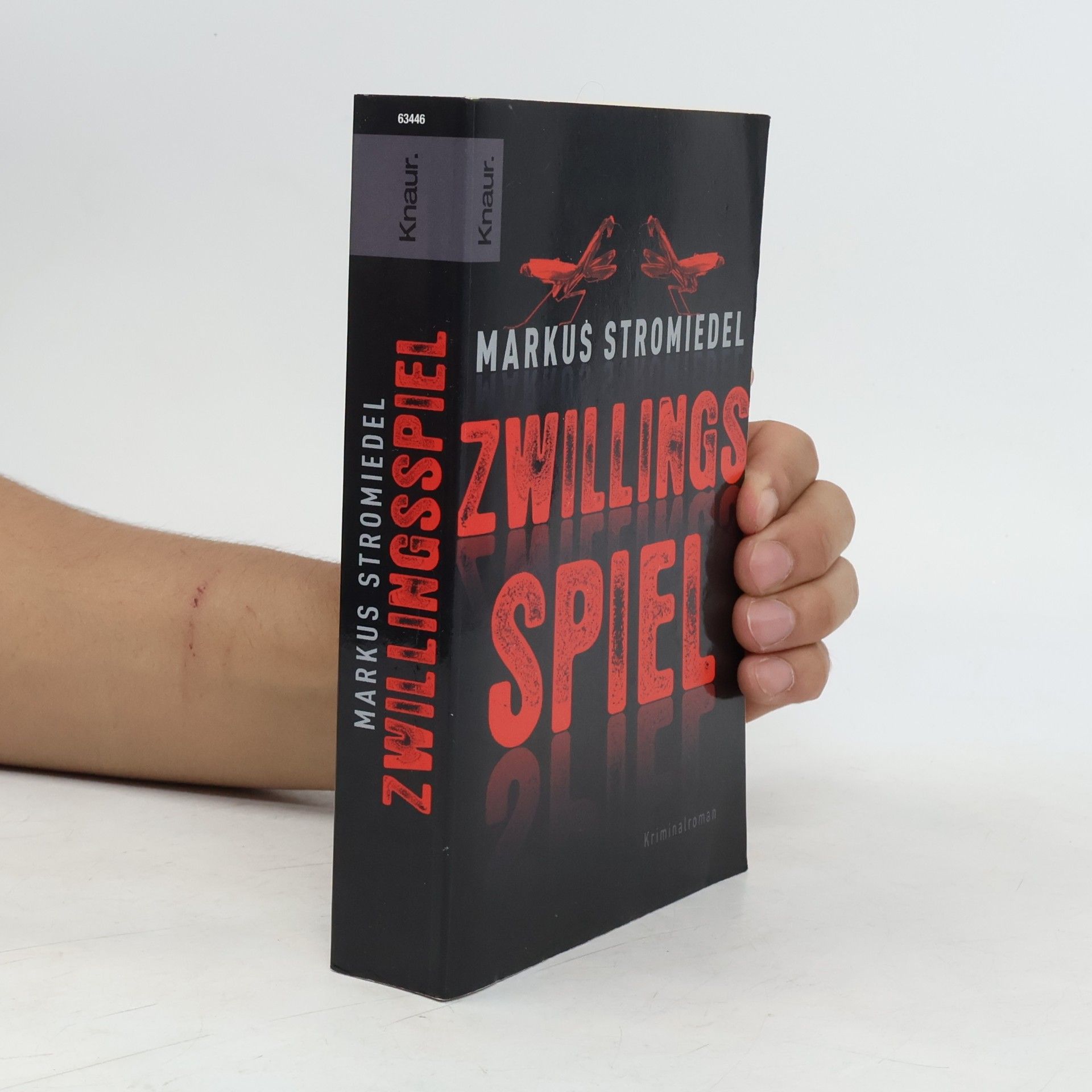 Zwillingsspiel